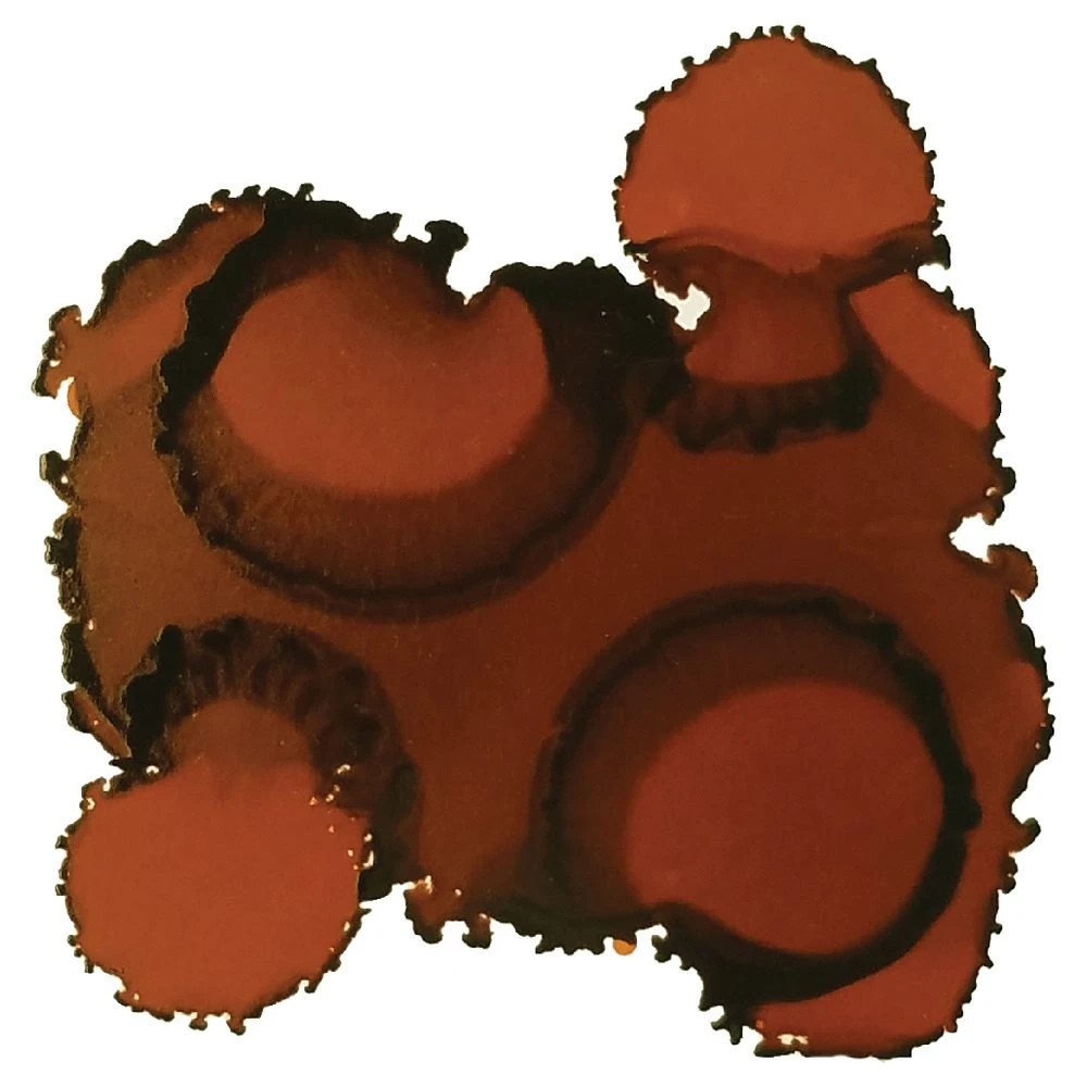 3 Jacquard Pinata Ink 14mL Burro Brown, 3 of 3
