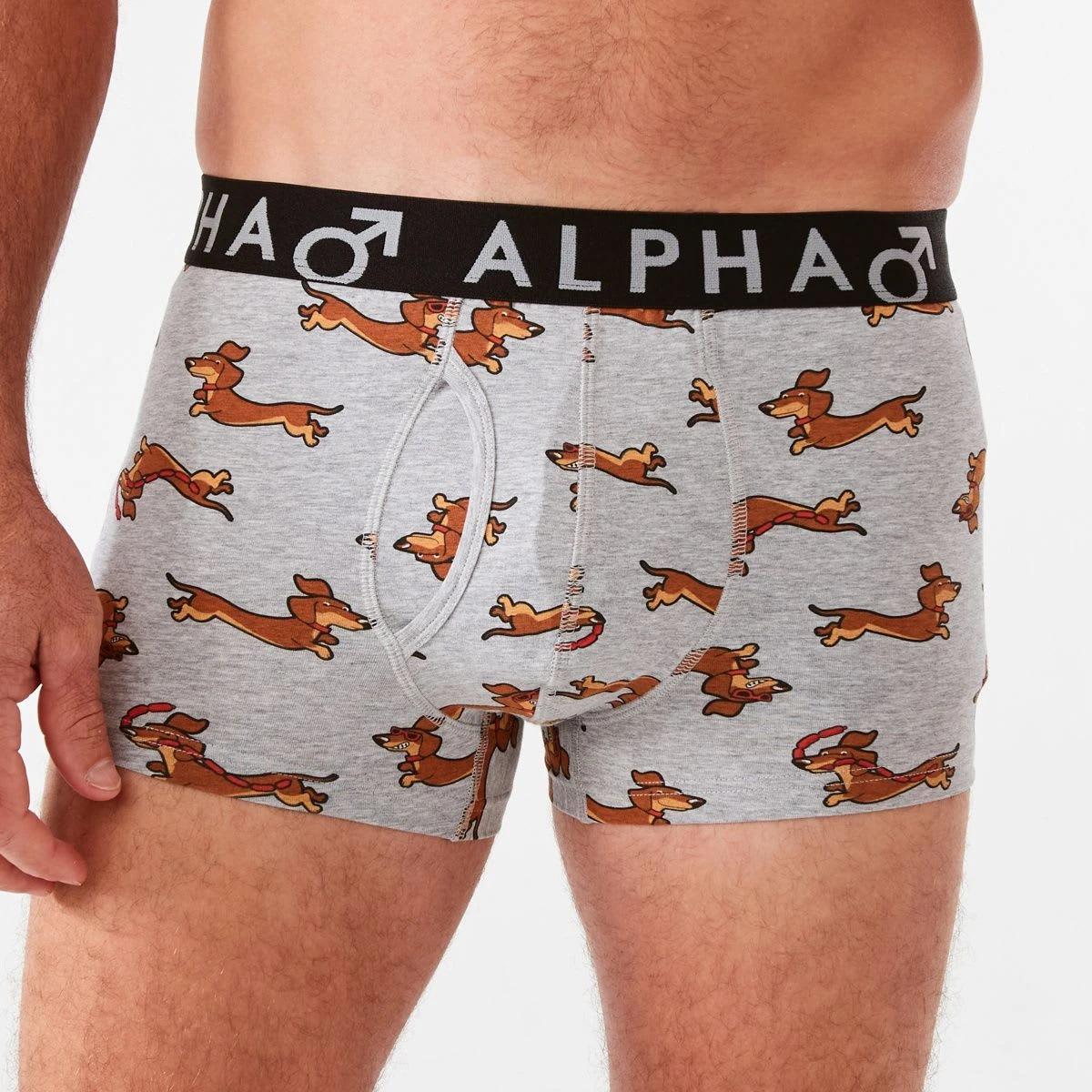 2 3 Pack Fly Front Print Trunks Fast Dogs, 2 of 8
