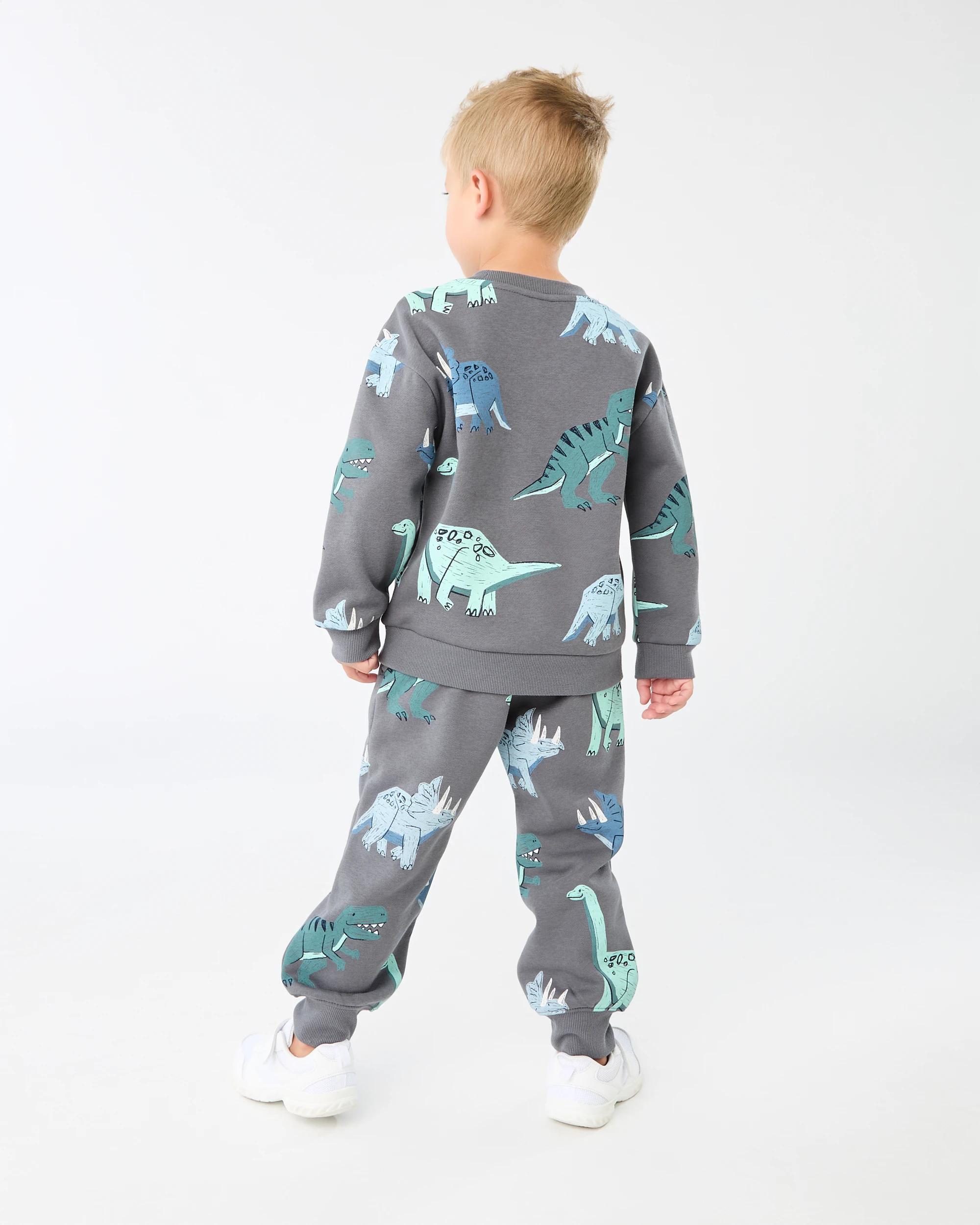 6 All Over Print Crew Neck Sweatshirt Gry Dino, 6 of 6