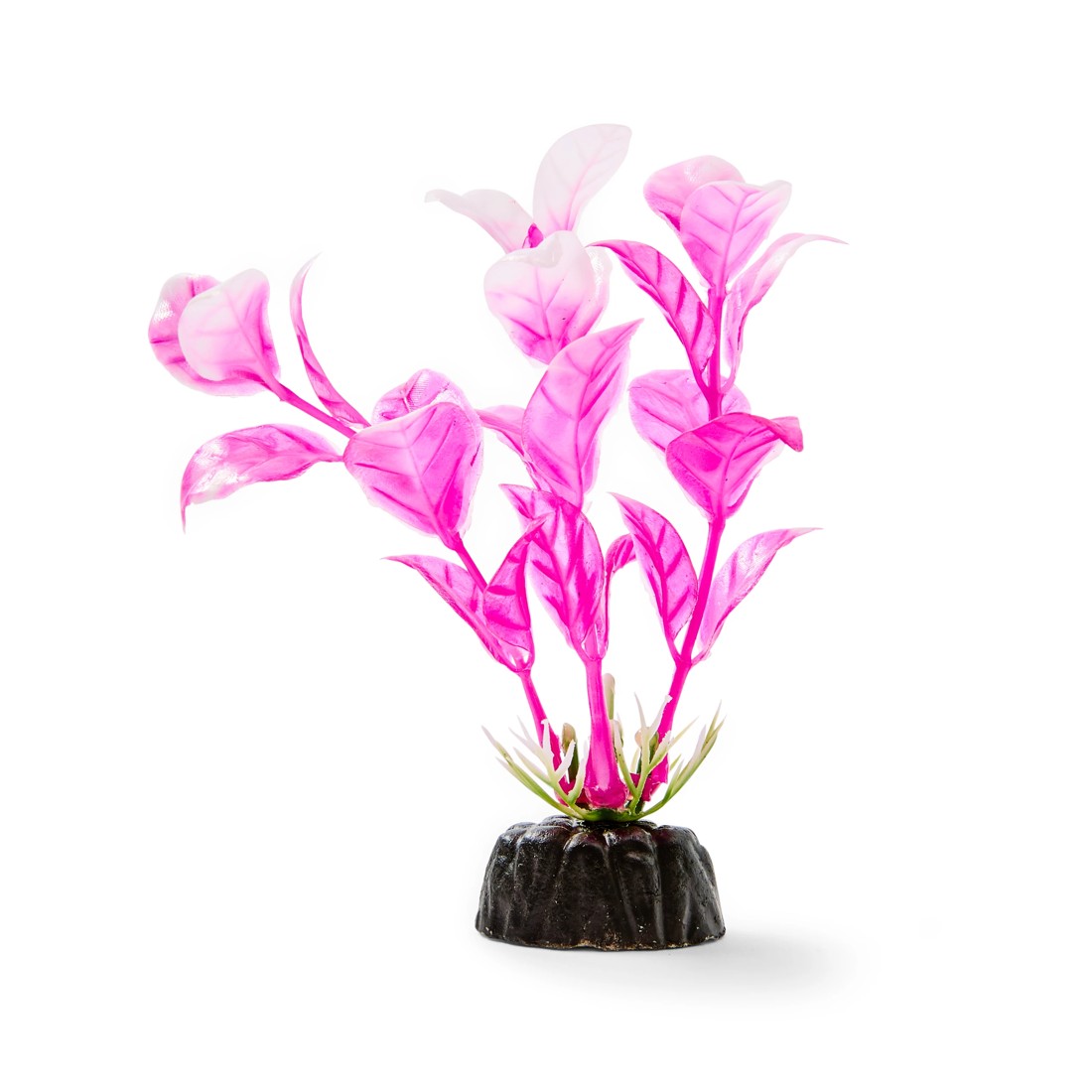 7 6 Pack Aquarium Bright Plants - Small, 7 of 10