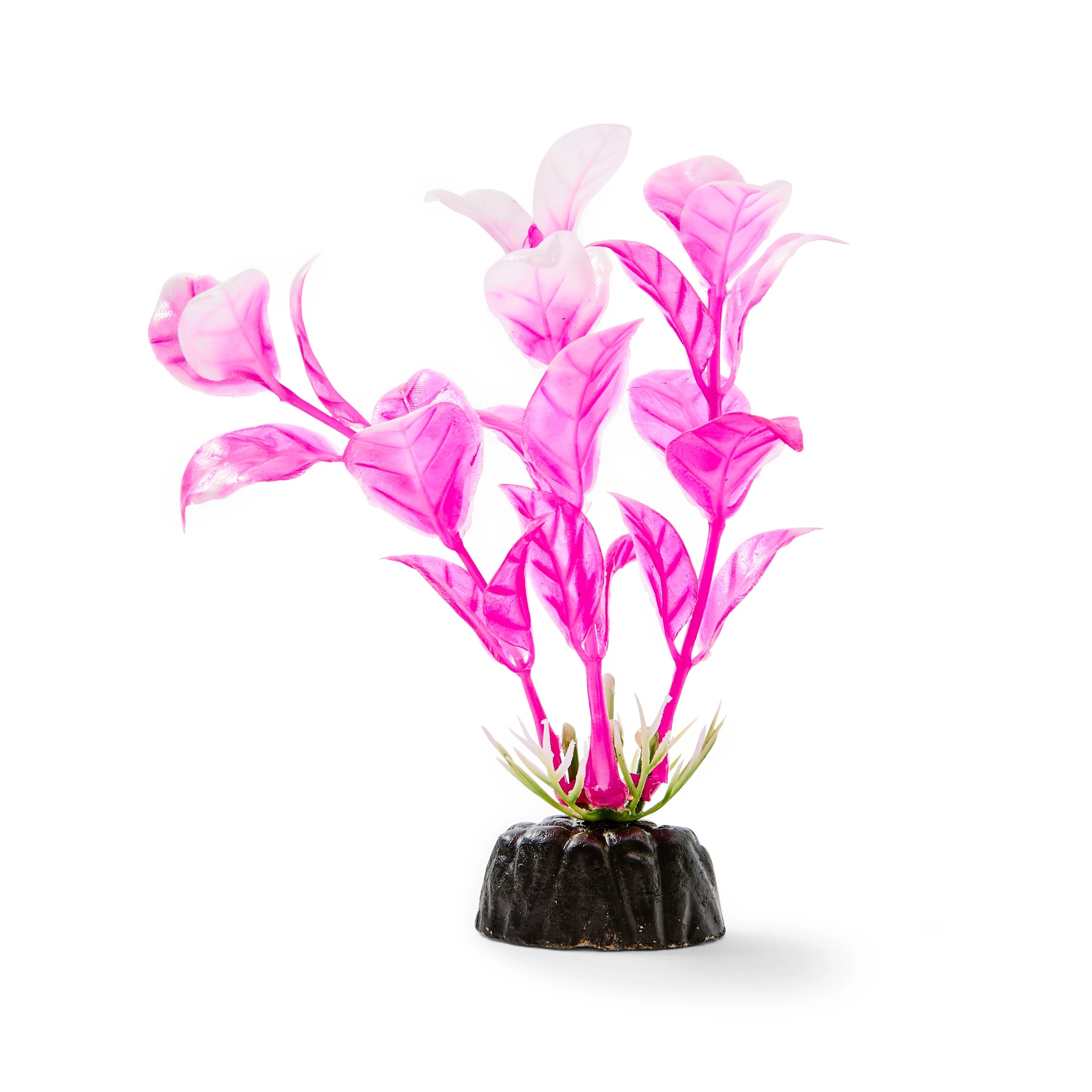 7 6 Pack Aquarium Bright Plants - Small, 7 of 10