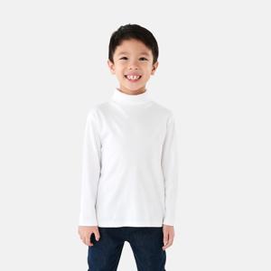 Long Sleeve Skivvy Top