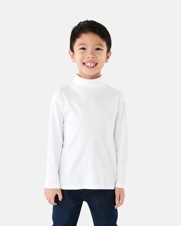 Long Sleeve Skivvy Top