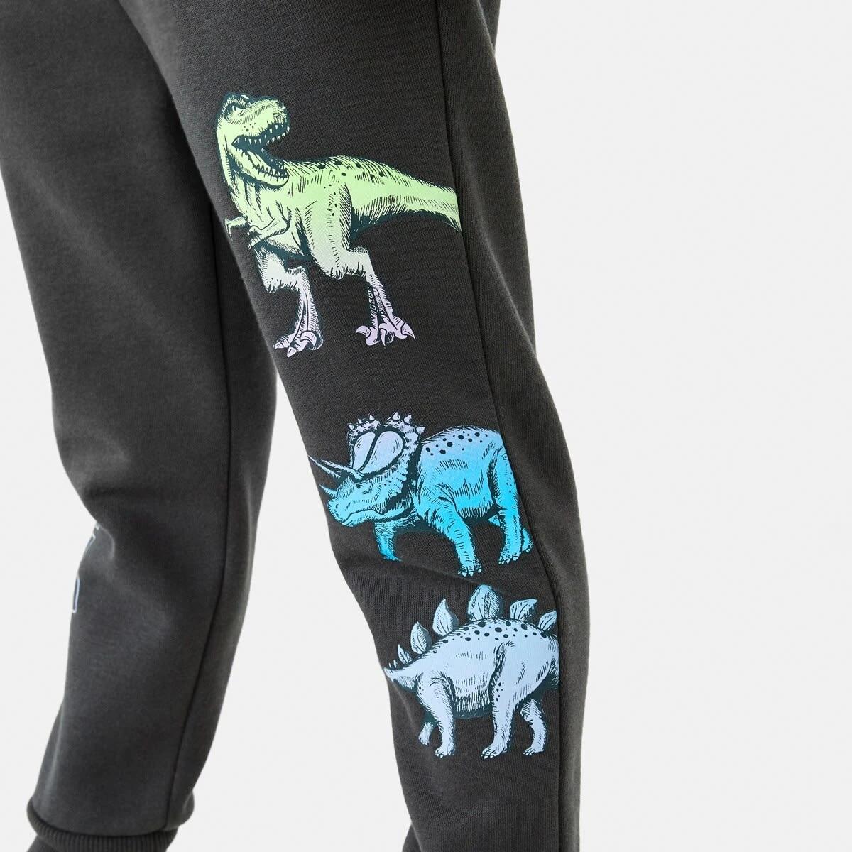 6 Print Trackpants Gry Dino, 6 of 10