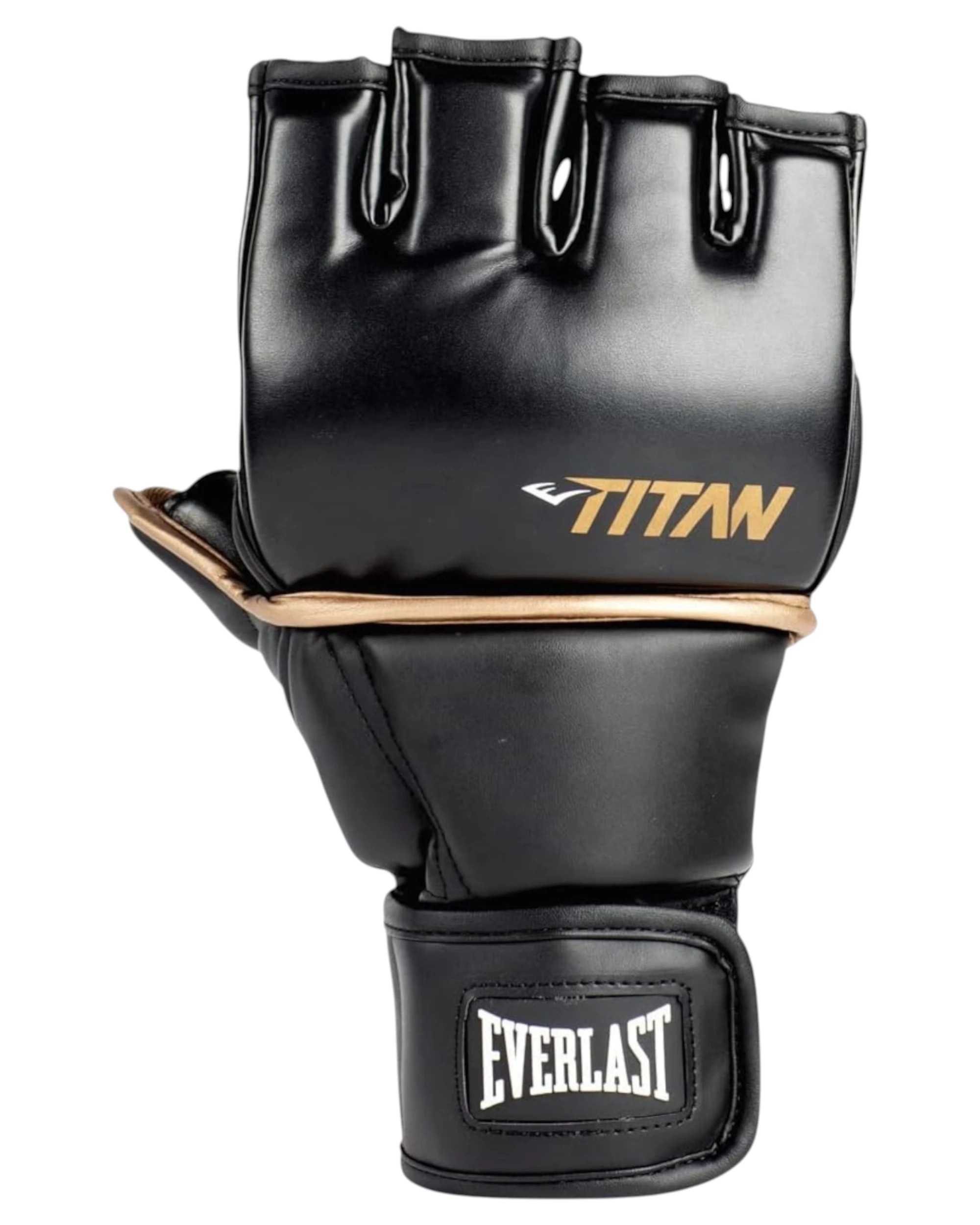 3 Everlast Titan MMA Training Grappling Gloves L/XL - Multi, 3 of 6