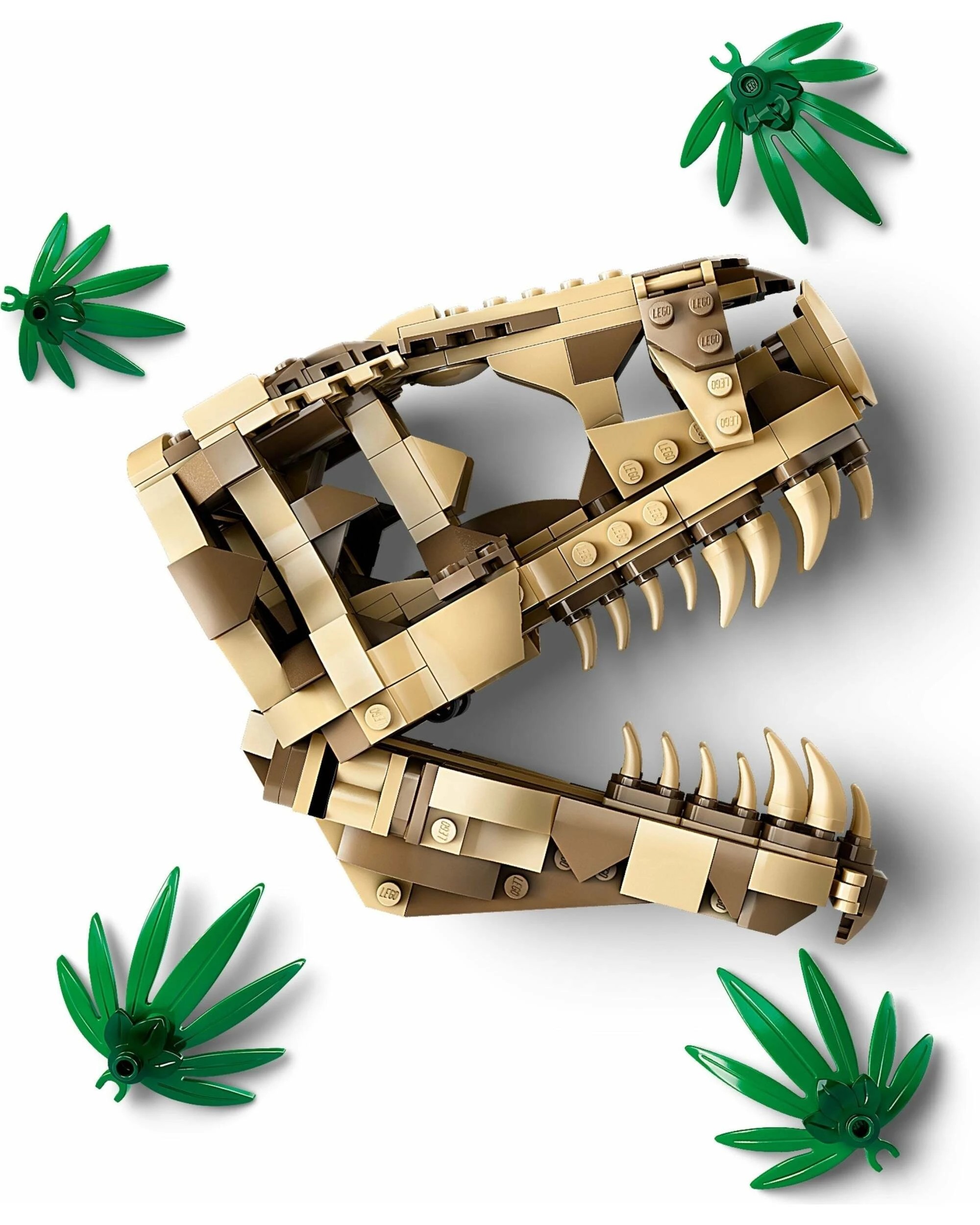 2 LEGO Jurassic World Series 76964 Dinosaur Fossils: T.rex Skull, 2 of 4