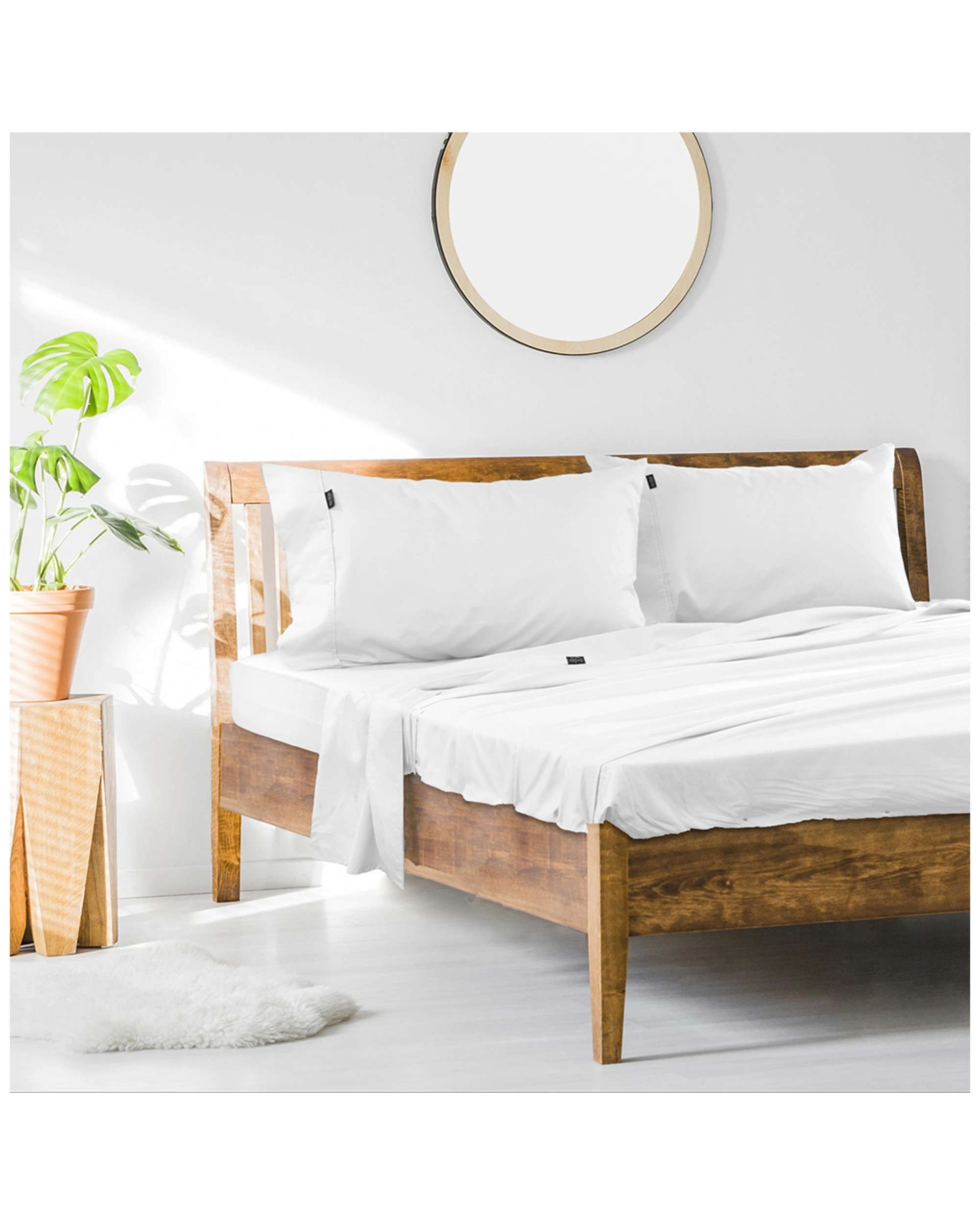 1 ARDOR King Single Bed Fitted Sheet Set 1000TC Cotton Rich Sheets - Bedding
 - King Single Bed, 1 of 3