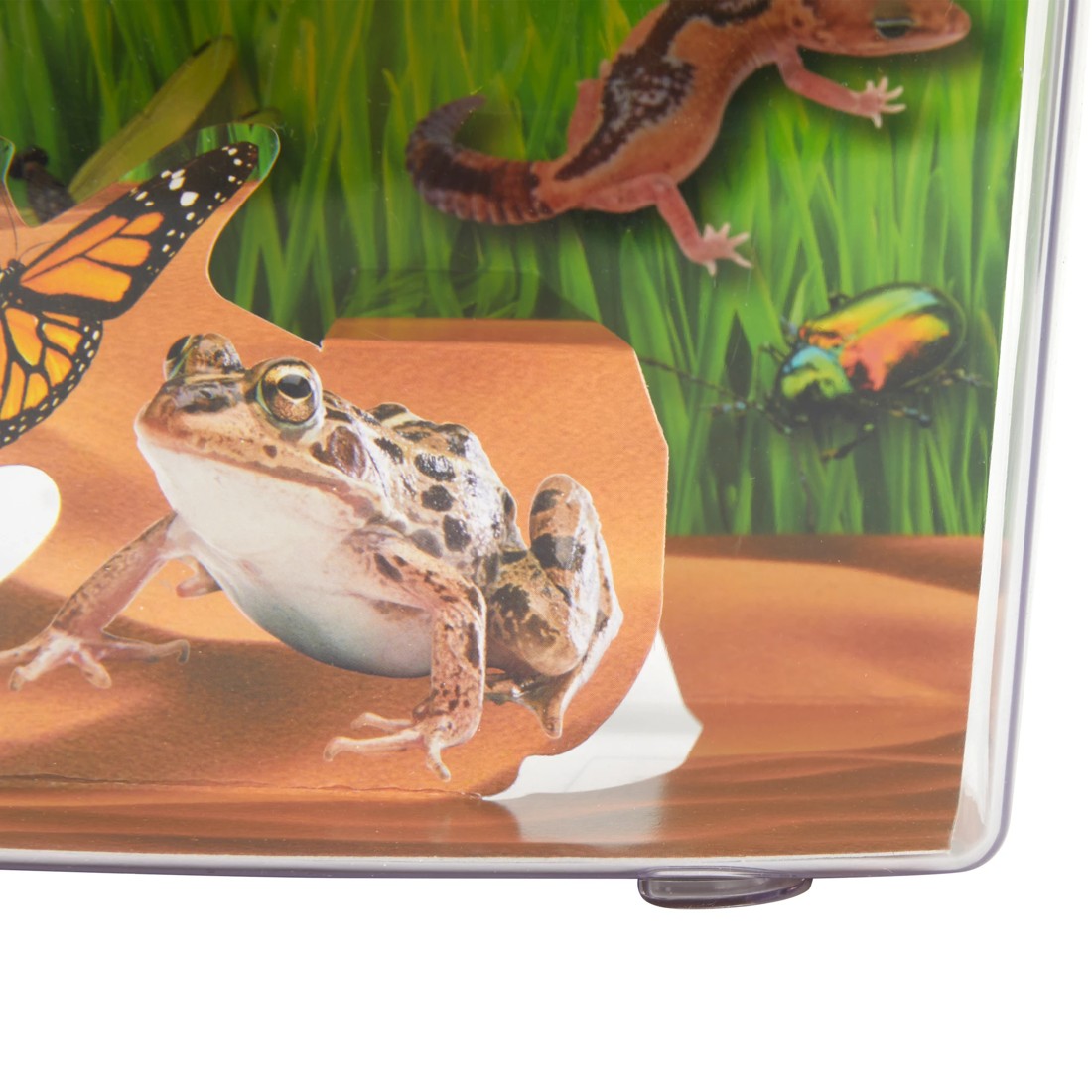 6 Bug Explorer Activity Set, 6 of 10