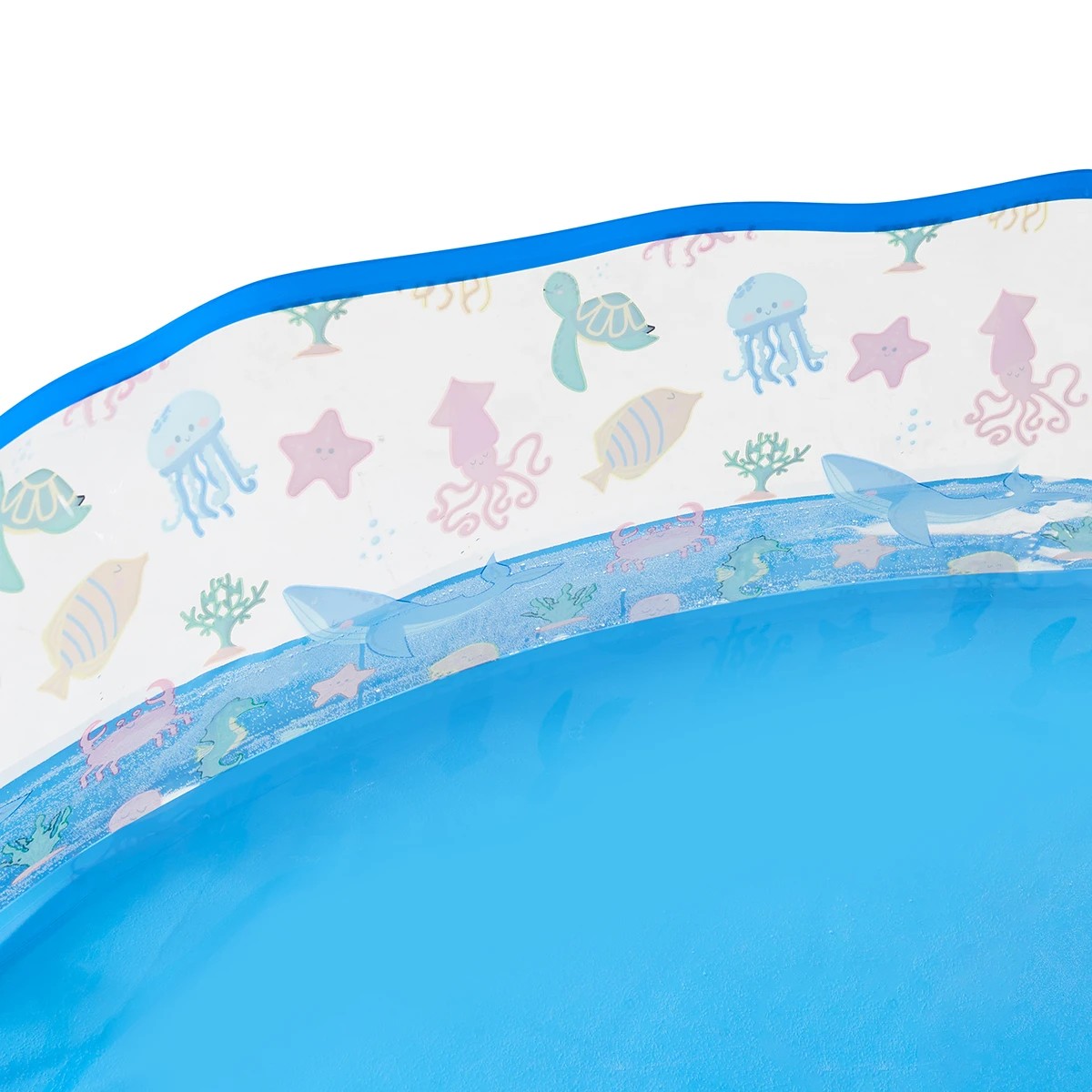 5 Under the Sea Basic Pool, 5 of 6