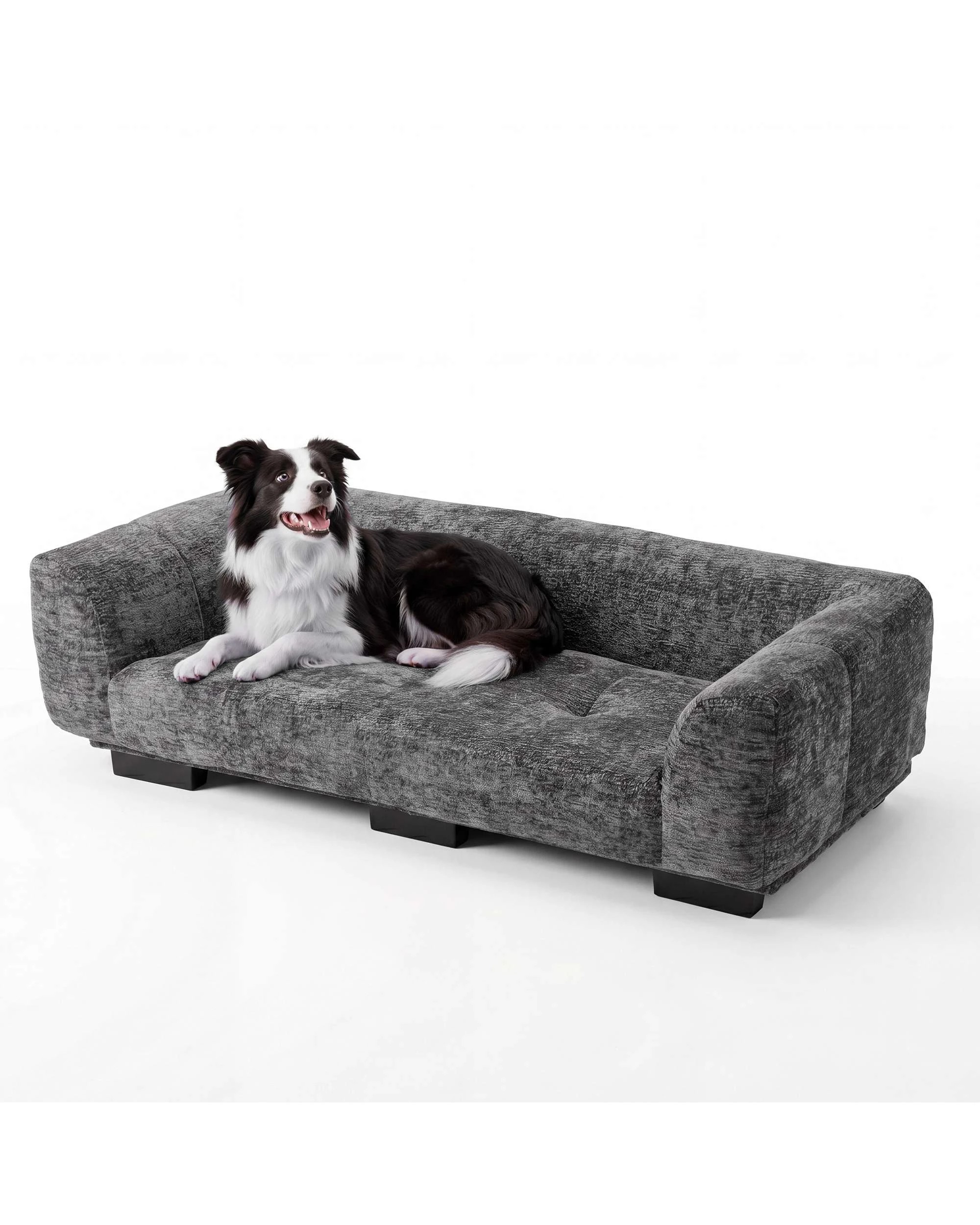 1 Advwin Pet Sofa Bed Elevated Pet Lounge Couch, 1 of 7