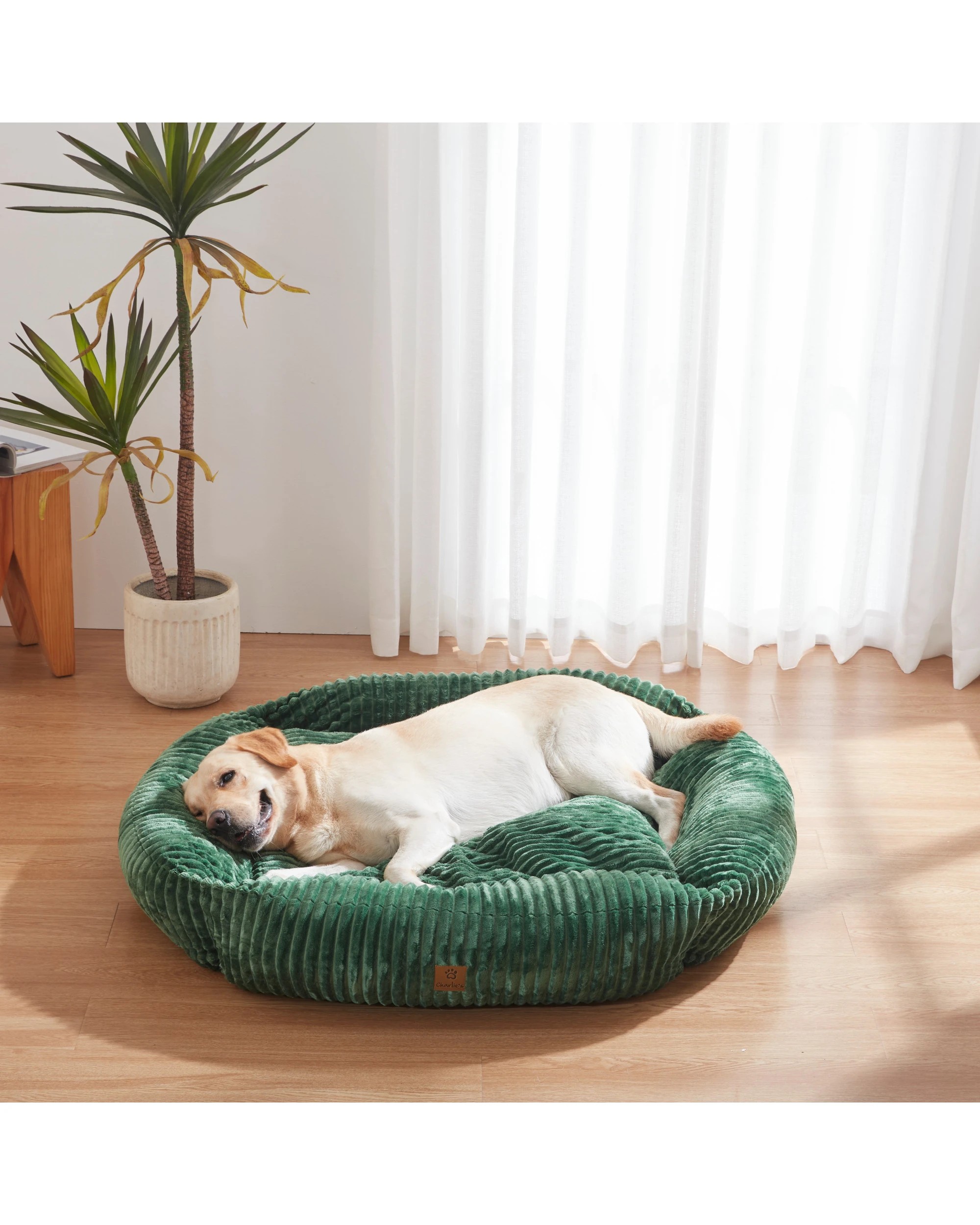 8 Charlie's Ascher Plush Corduroy Square Dog Bed Large - Eden Green, 8 of 10