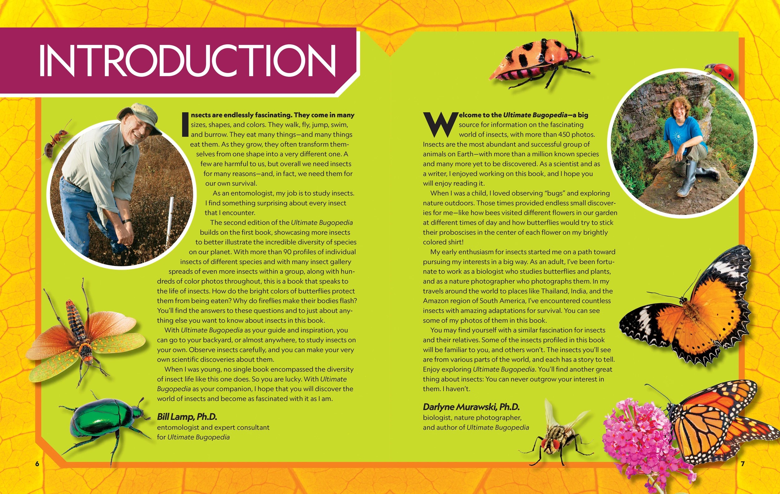 3 National Geographic Kids: Ultimate Bug-0pedia Second Edition by  Darlyne Murawski and Nancy Honovich - Book, 3 of 7