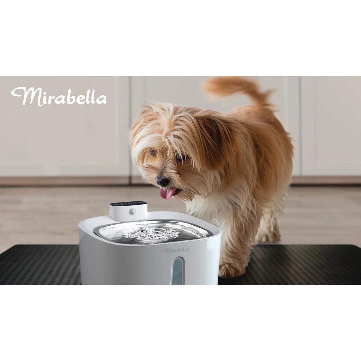 3 3.2L Mirabella Pet Filtered Water Fountain, 3 of 6