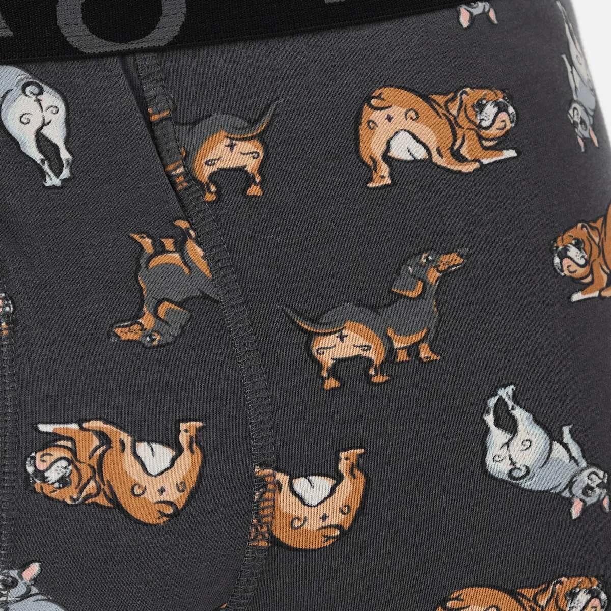 8 3 Pack Fly Front Print Trunks Hey Pups, 8 of 8