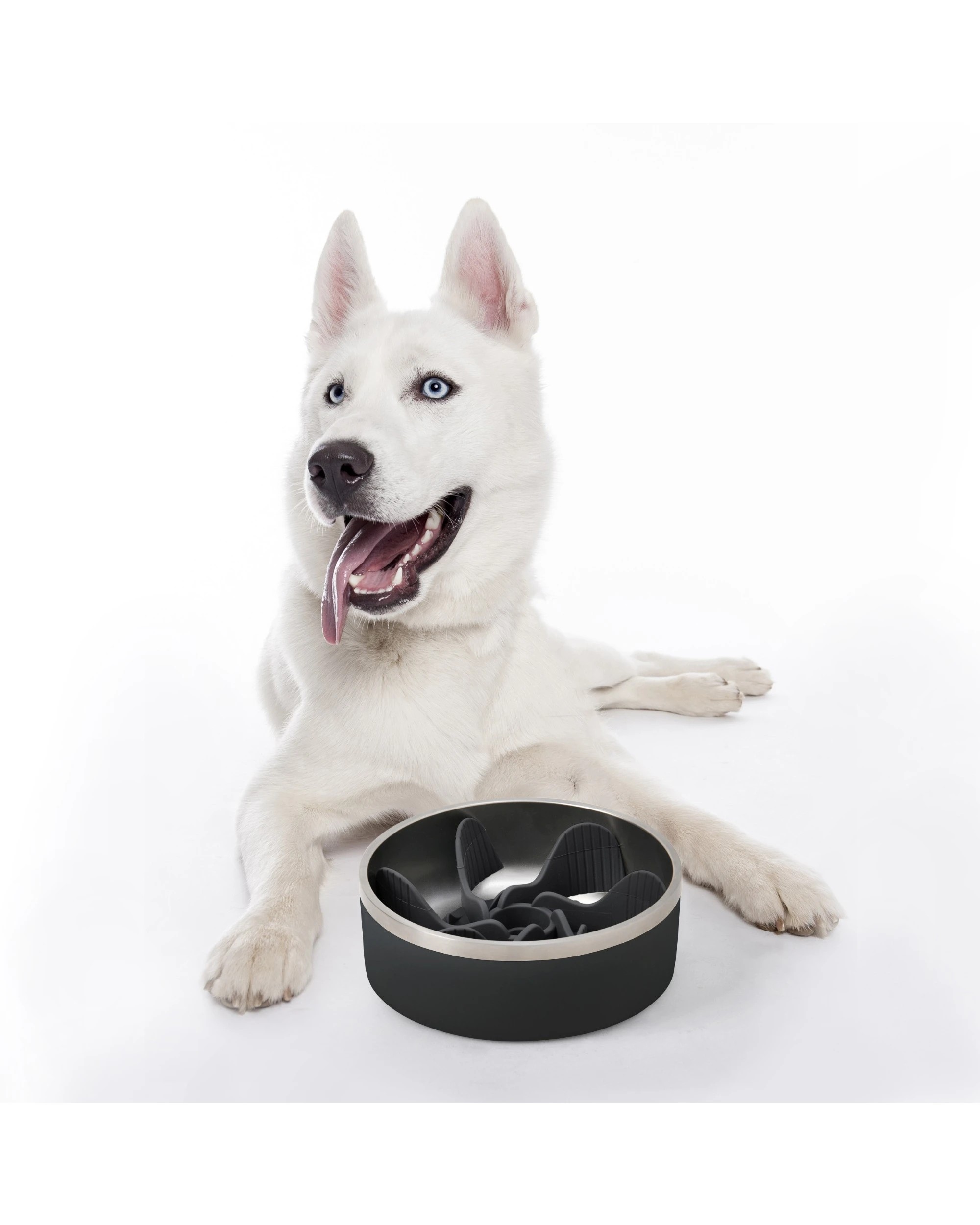 5 Charlie's Duro Double Wall Insulated Stainless Steel Dog Bowl with Removable Slow Feeder Attachment Large 1.89L - Black, 5 of 7