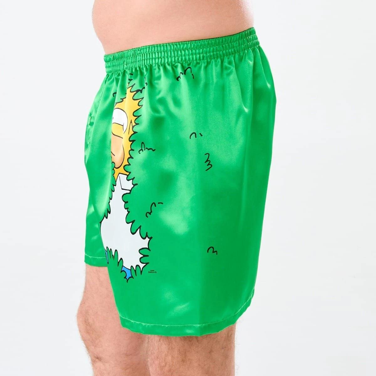 2 Simpsons License Boxers Homer Bush, 2 of 5