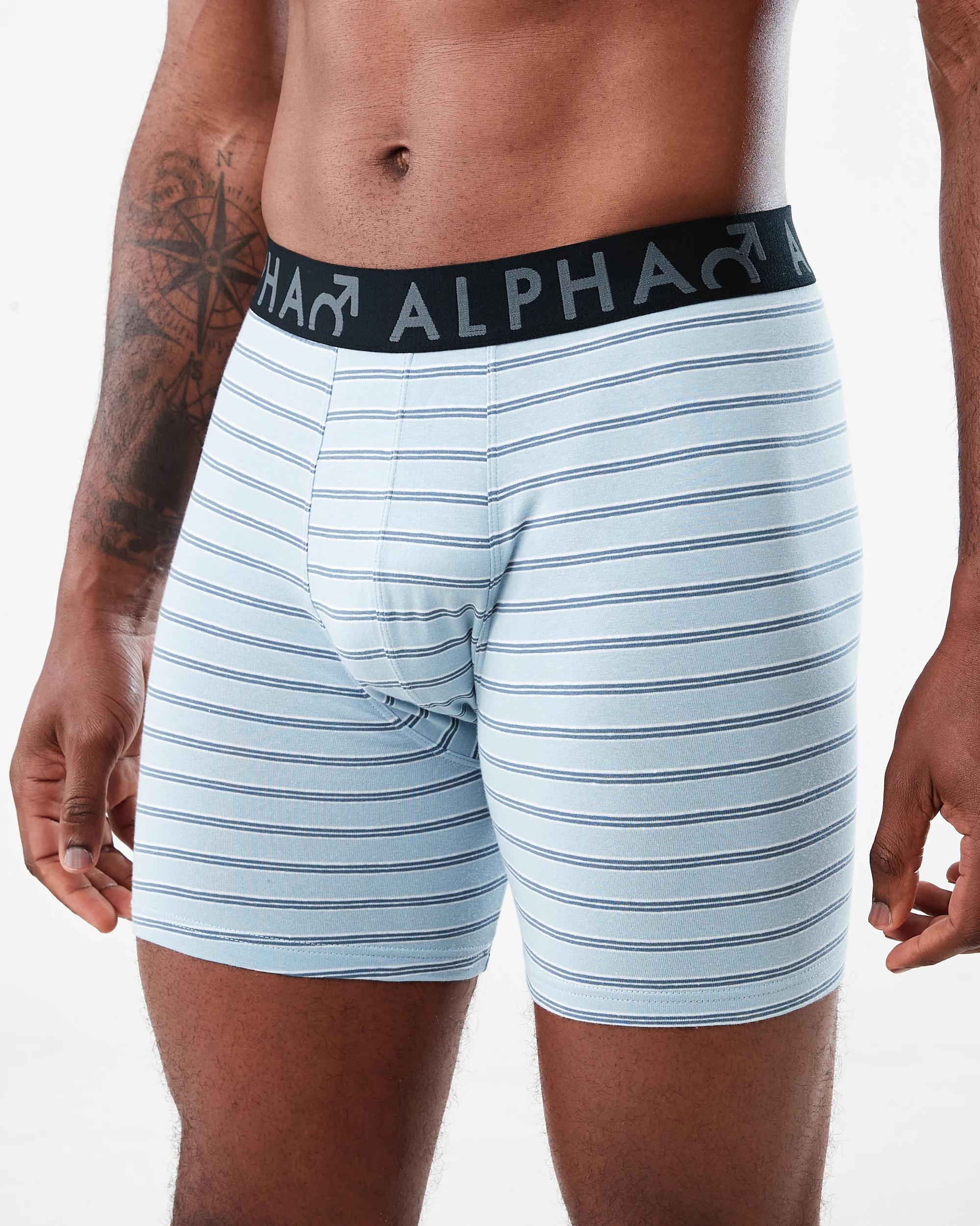 5 3 Pack Mid Length Stripe Trunks Gry Stripe, 5 of 7