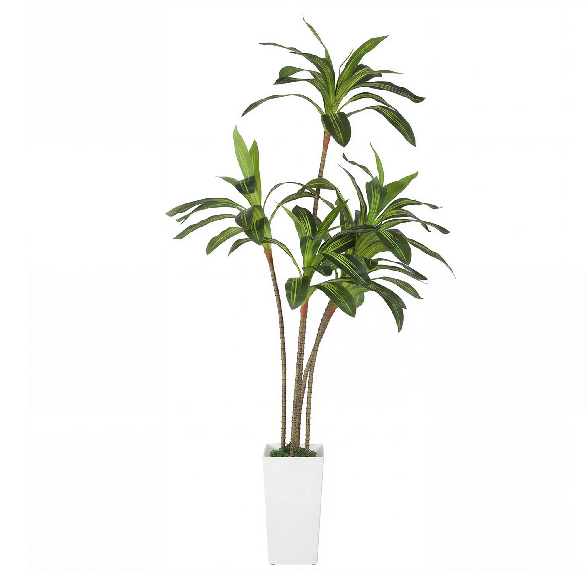 1 Lambu 6Ft Artificial Dracaena Tree With Tall Pot - White, 1 of 9