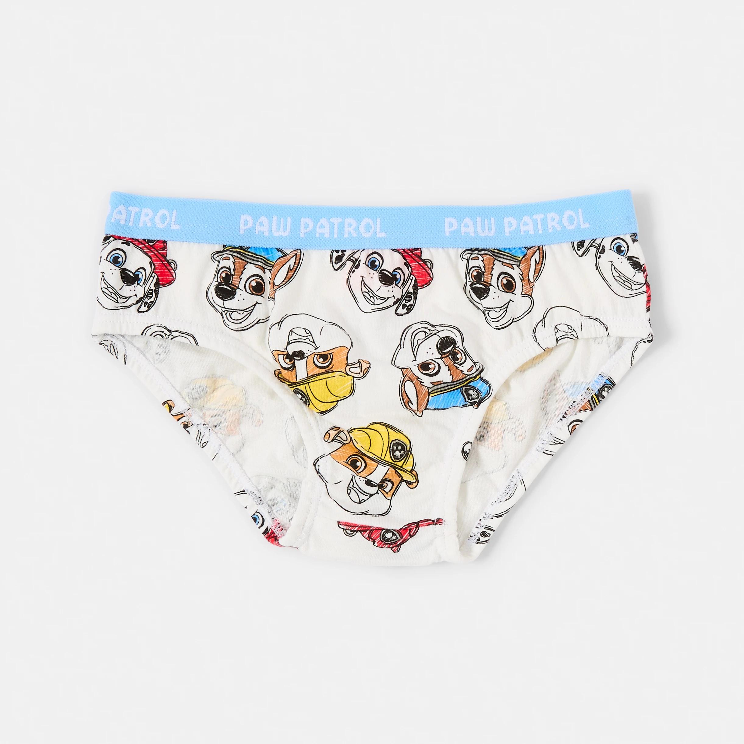 5 4 Pack PAW Patrol License Briefs PAW PATROL, 5 of 7