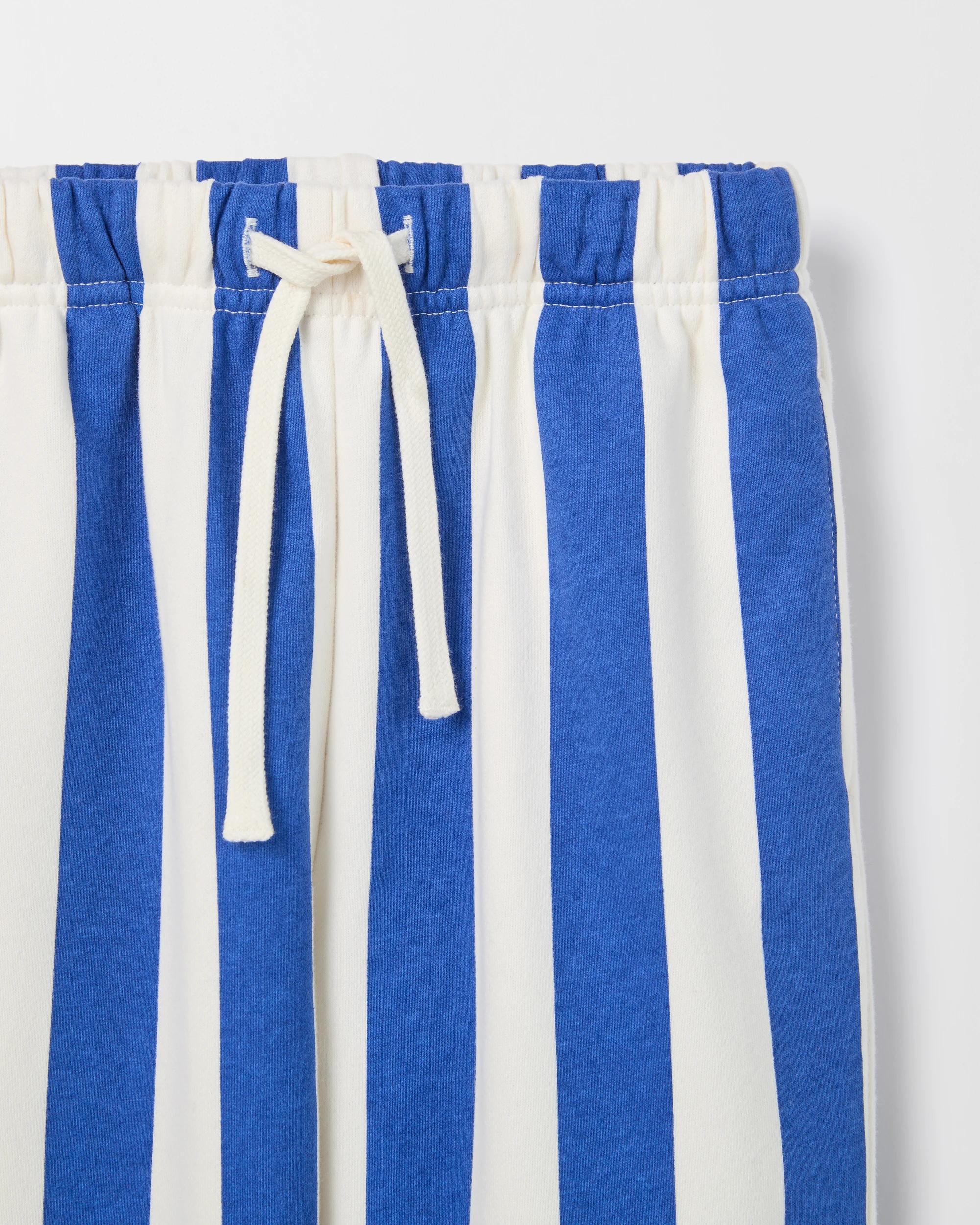 6 Target Kids  Australian Cotton Blend Vertical Stripe Trackpants BLUE, 6 of 6