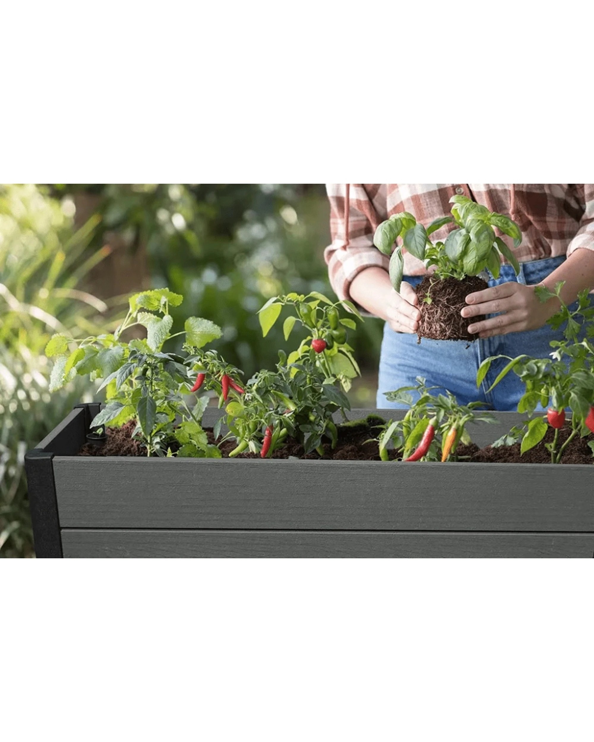 Keter Darwin Raised Garden Bed Self Watering System 110L Capacity ...