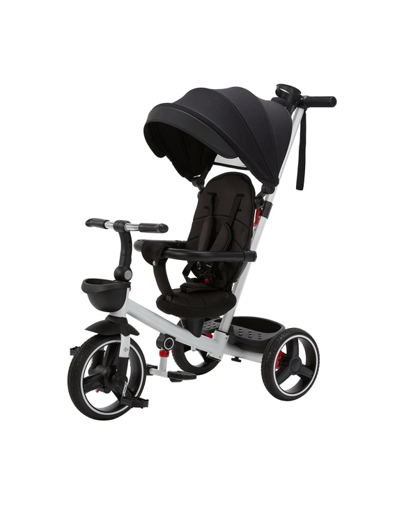 4 in 1 Canopy Trike
