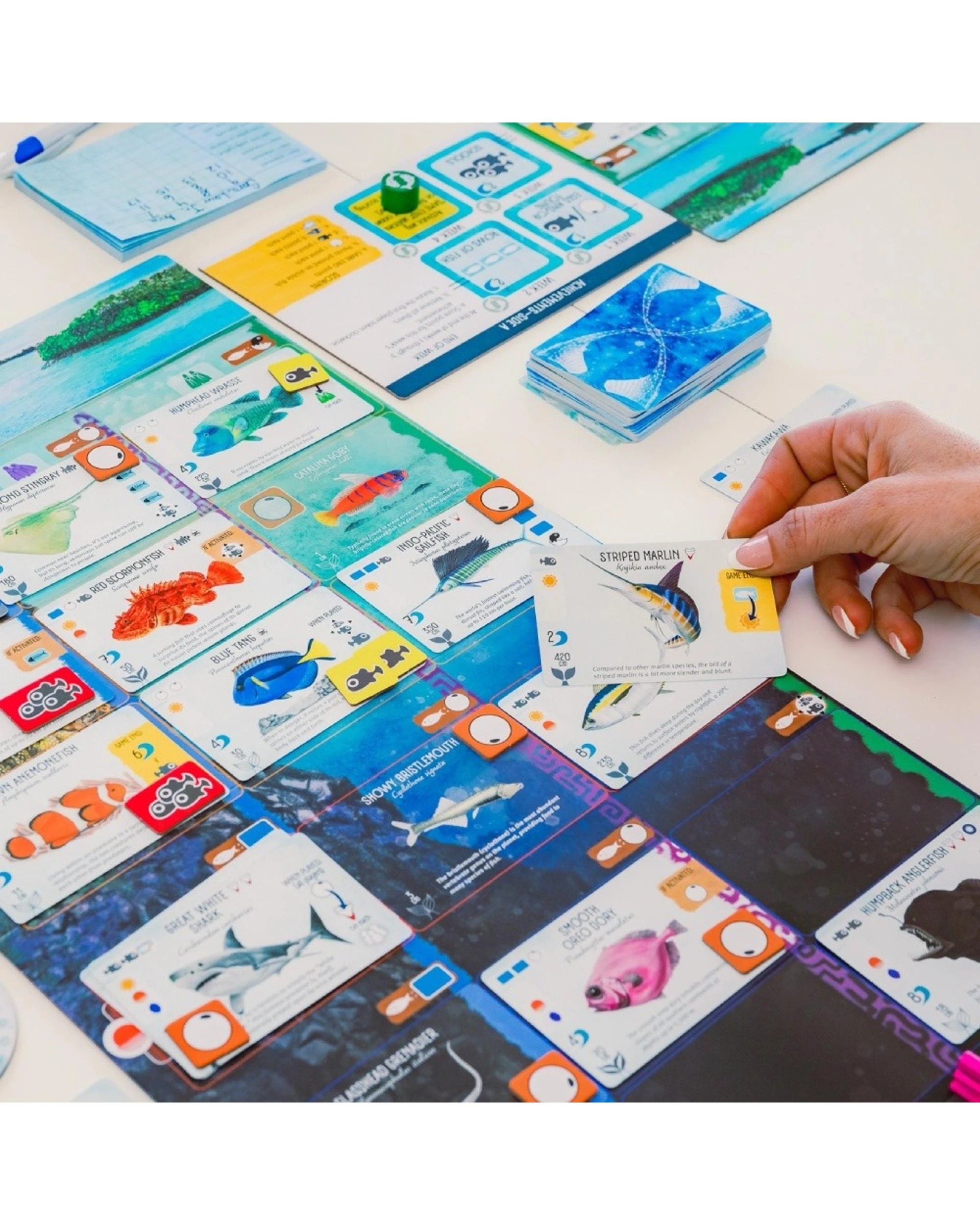 4 Finspan Board Game, 4 of 6