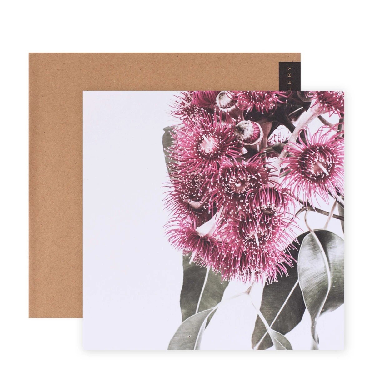 1 Hallmark x Donna Delaney Gallery Blank Greeting Card - Tiny Pink Fireworks, 1 of 3