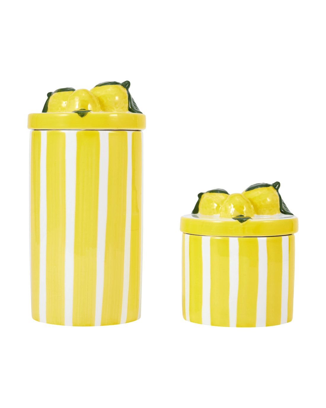 3 2 Pack Lemon Canisters, 3 of 5