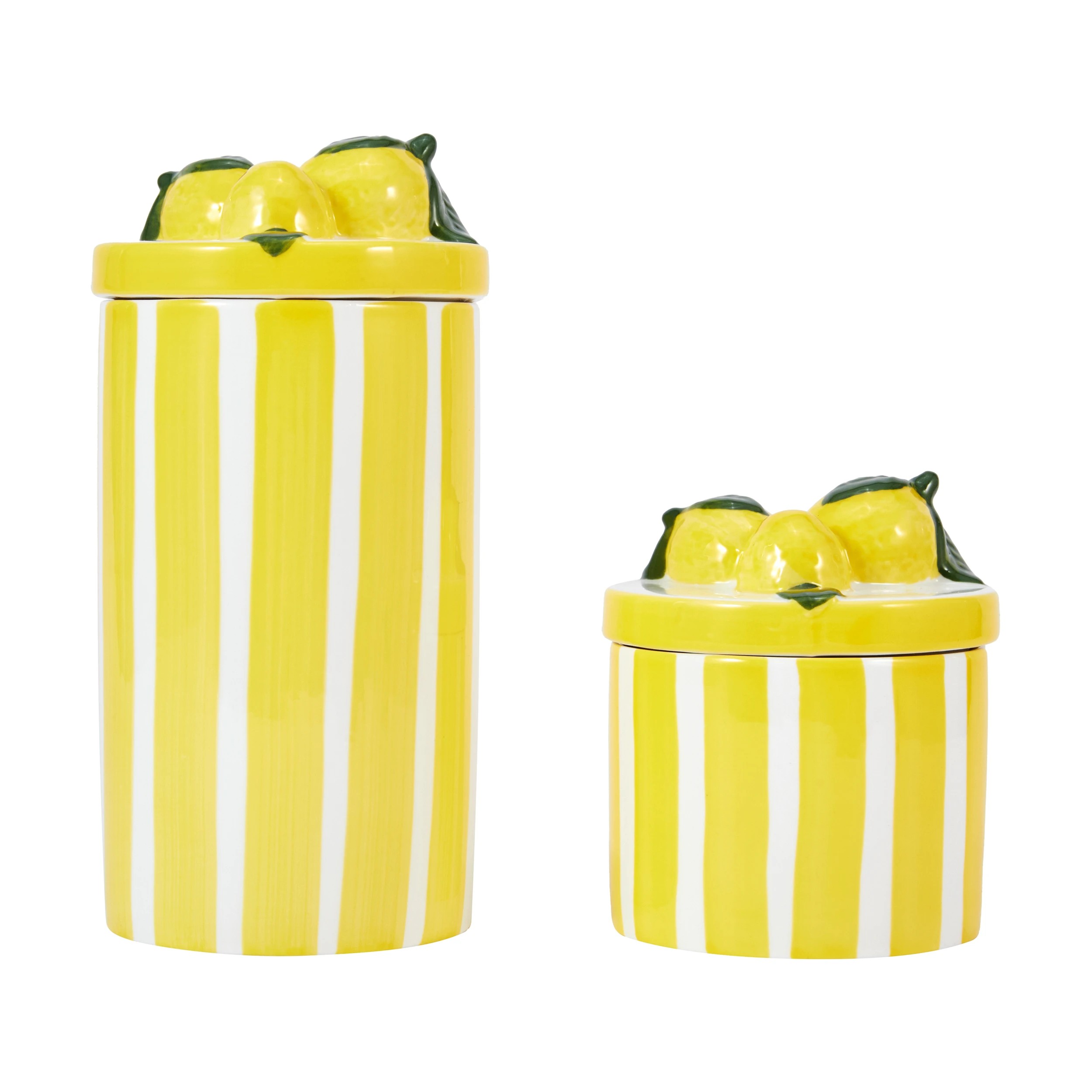 3 2 Pack Lemon Canisters, 3 of 5