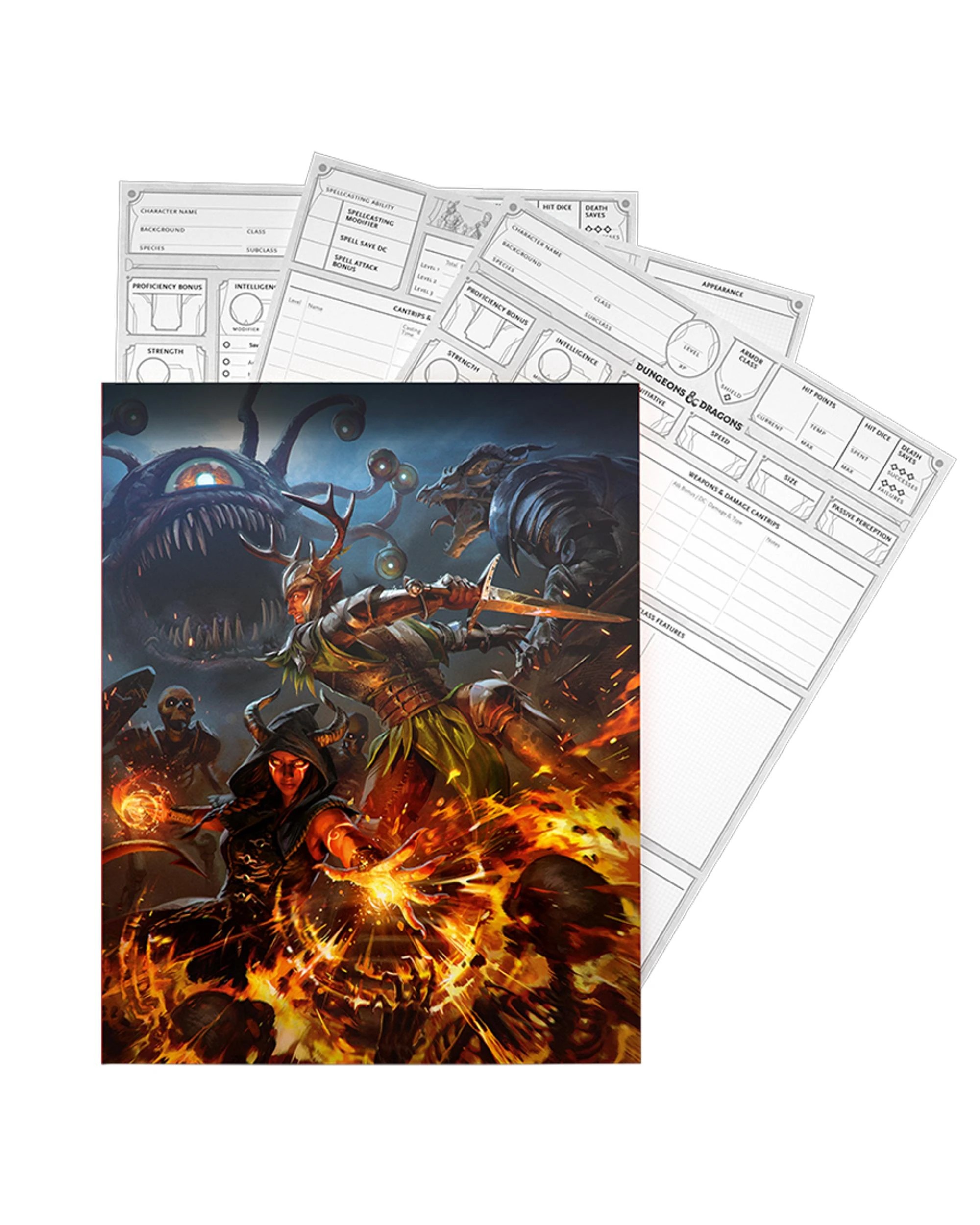 2 Dungeons and Dragons 2024 Character Sheets, 2 of 2