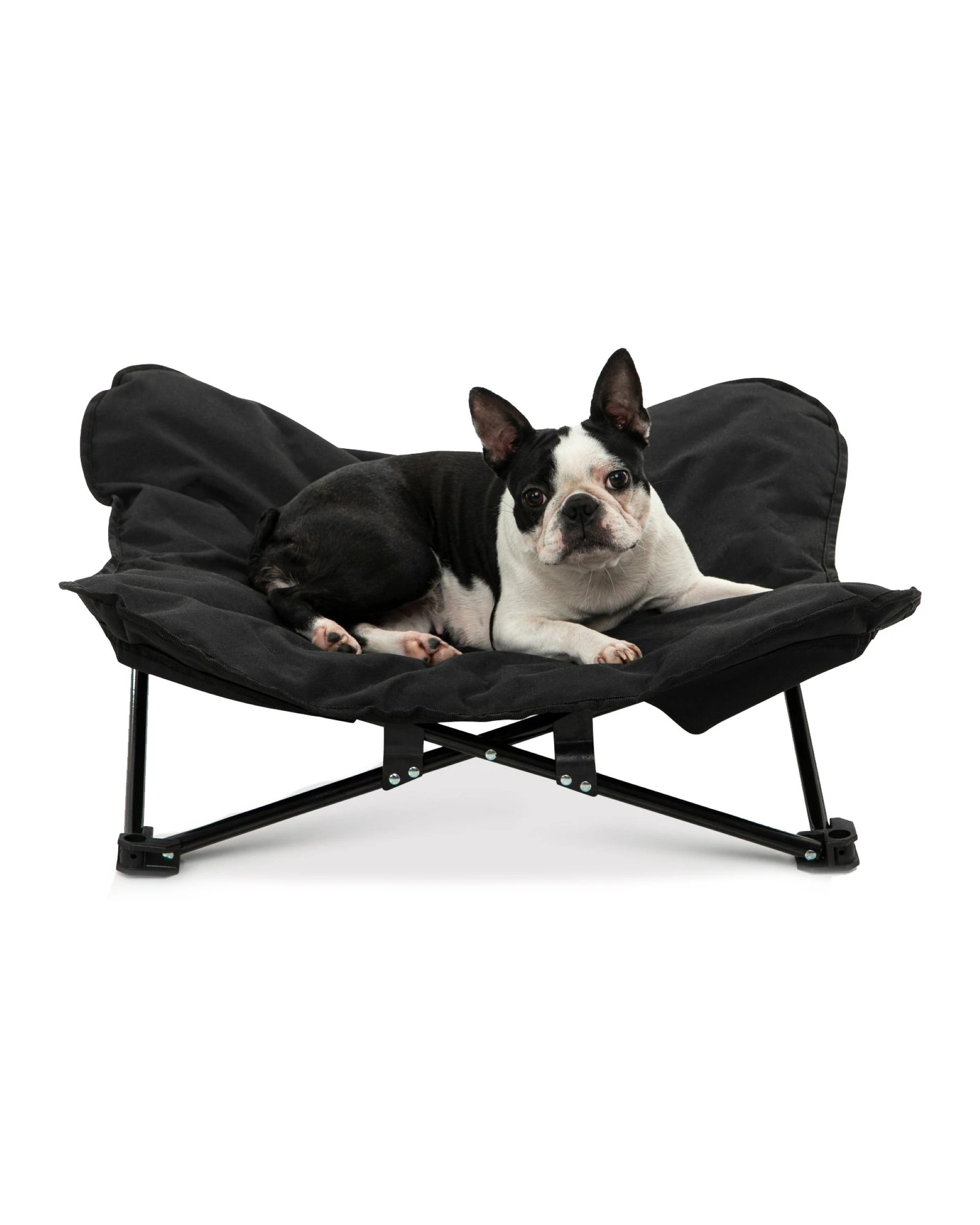 2 Charlie's Butterfly Foldable Outdoor Camping Dog Bed Large - Black, 2 of 10