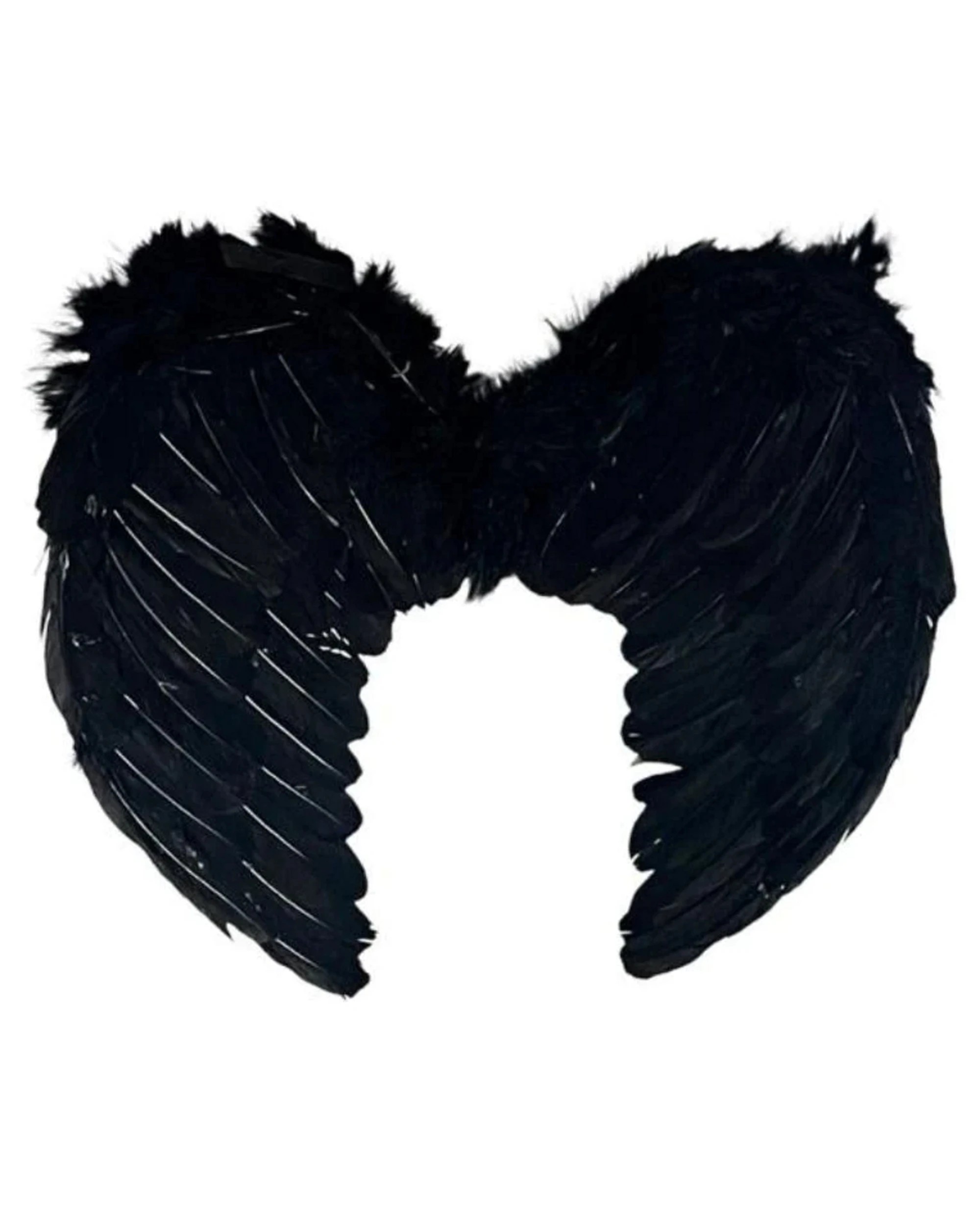 1 Party Planet Feathered Angel Wings 80cm x 60cm - One Size - Black, 1 of 1