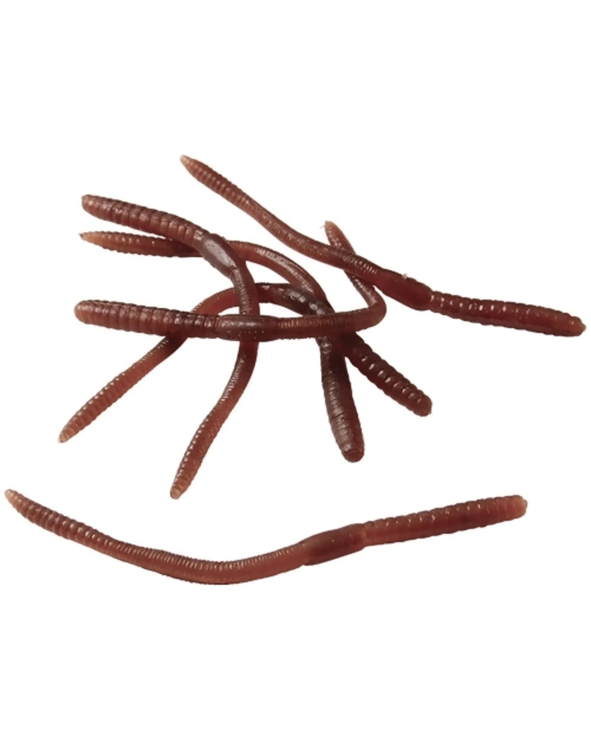 1 Partyrama Stretchy Brown Worms, 1 of 2