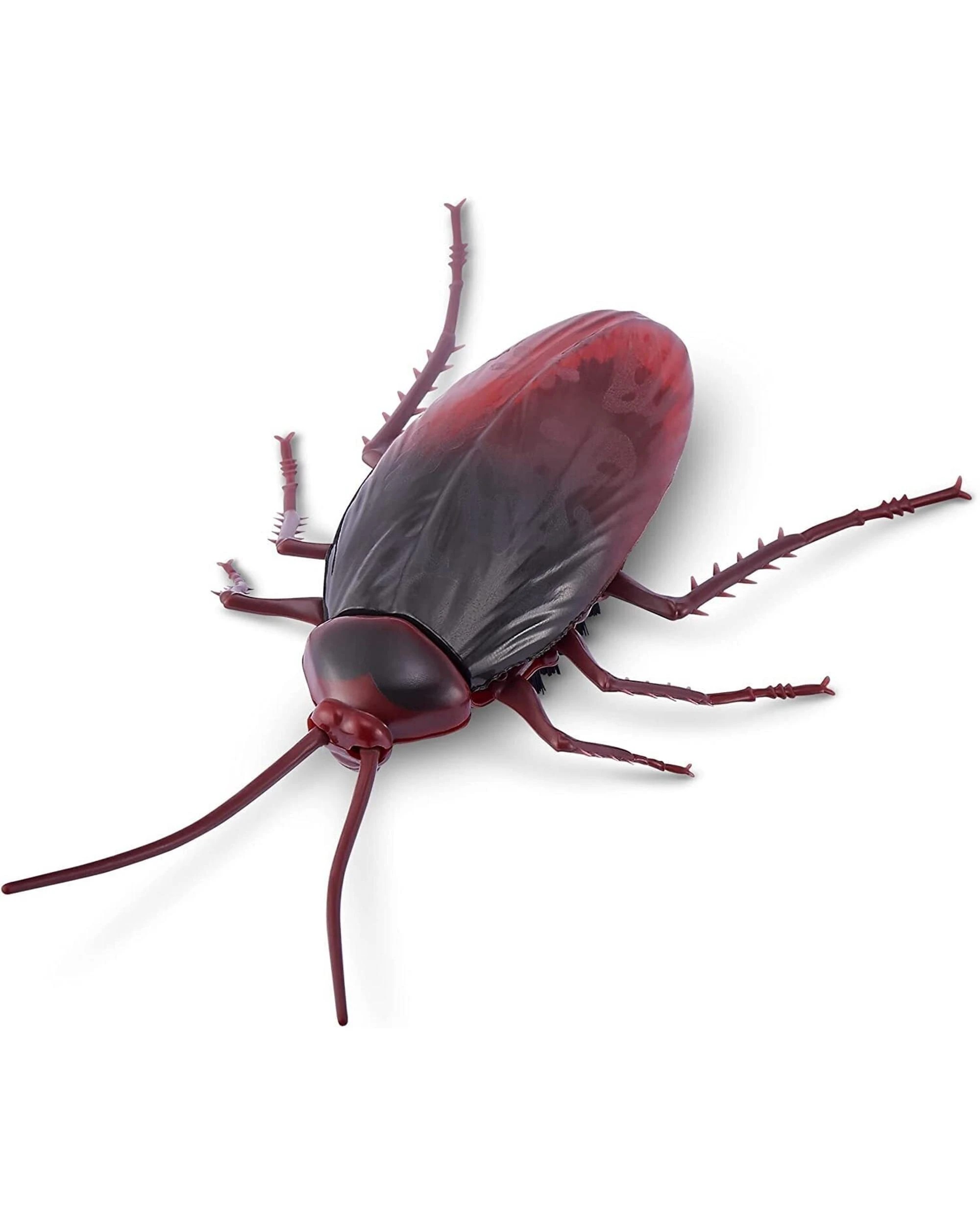 3 Zuru Robo Alive Crawling Cockroach, 3 of 3