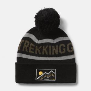 Chunky Pom Beanie