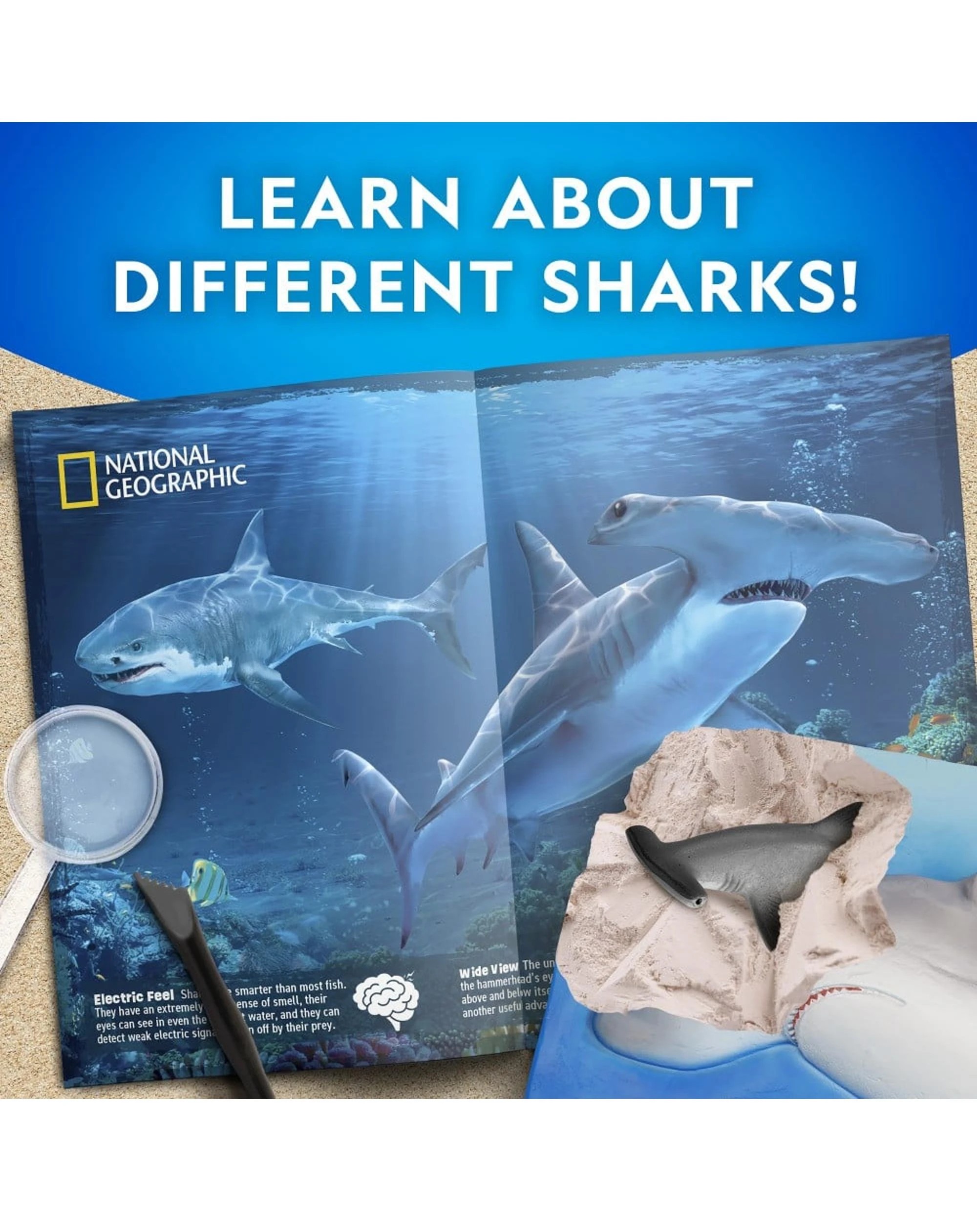 3 National Geographic Shark Dig Kit, 3 of 4