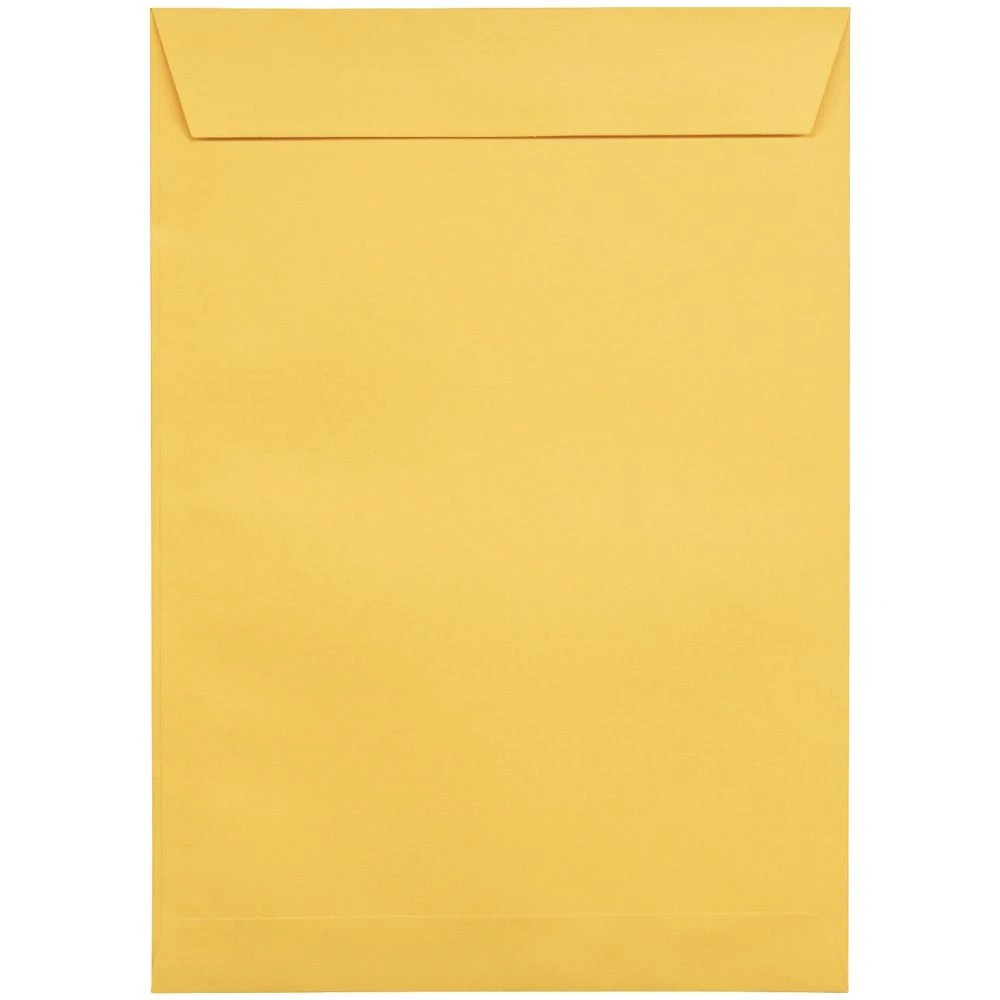 3 PPS Plainface C4 Envelopes Gold 250 Pack, 3 of 4