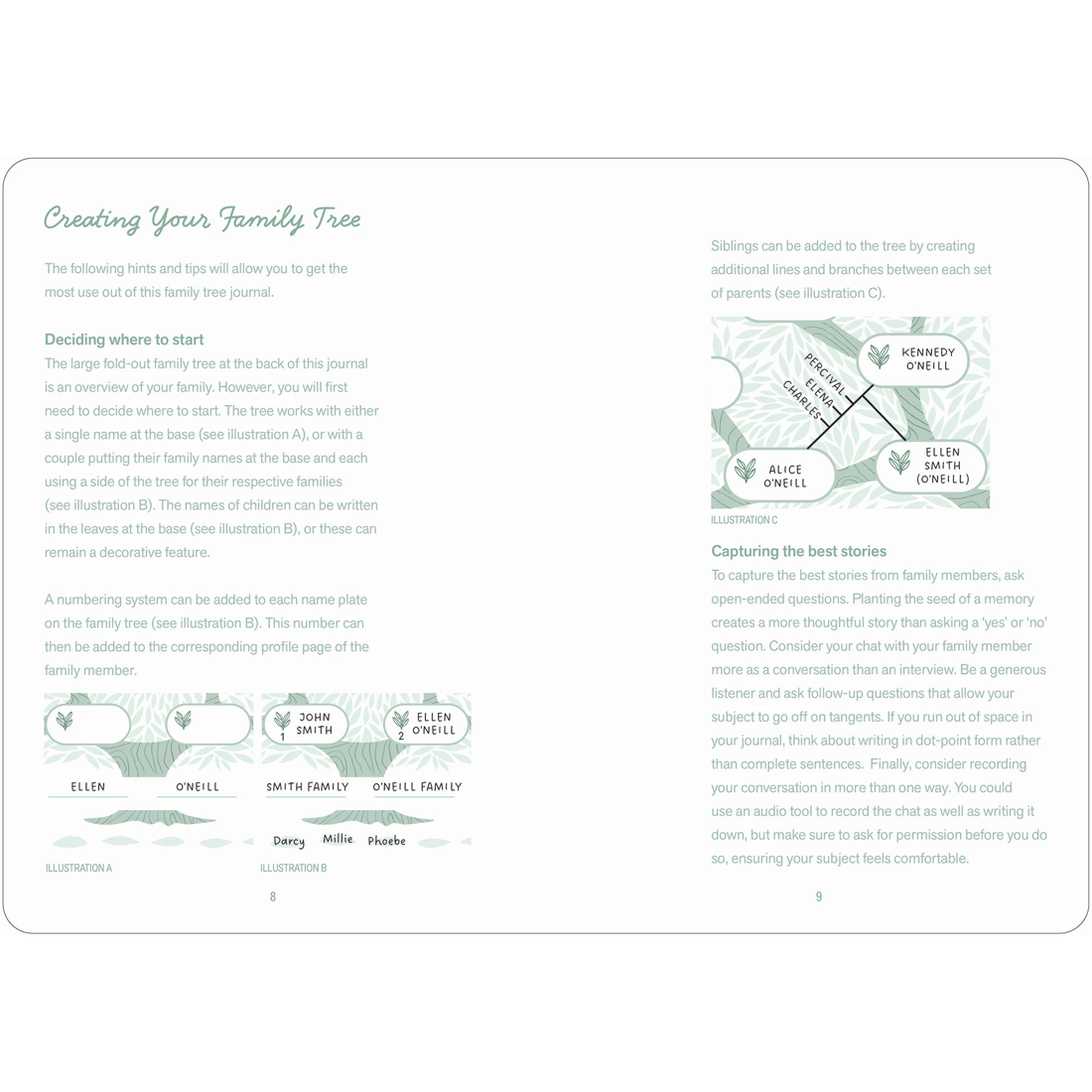 3 My Family Tree: A Keepsake Guided Journal - Book, 3 of 5