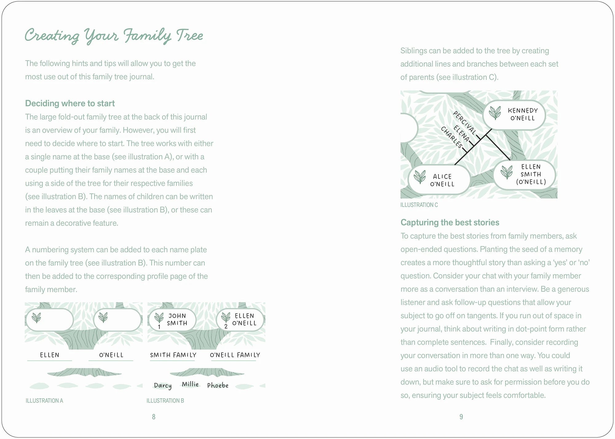 3 My Family Tree: A Keepsake Guided Journal - Book, 3 of 5