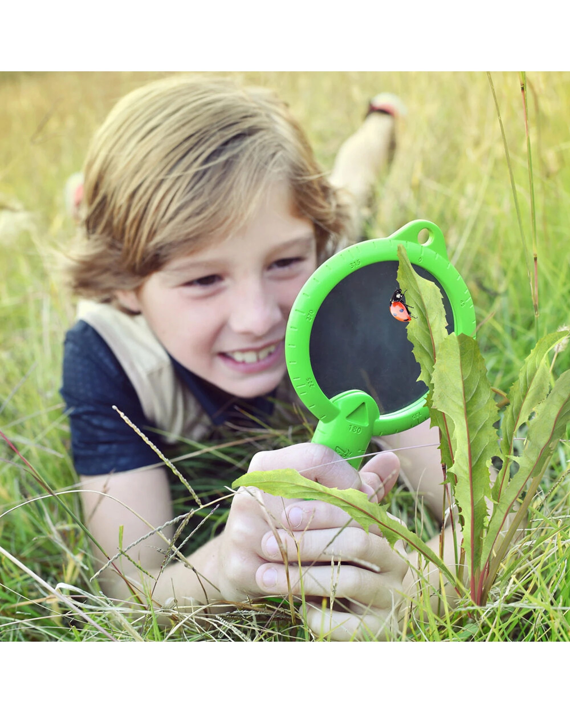 6 Wild Adventure 6PK Magnifying Glass Toy Kids Educational Fun - Green, 6 of 6