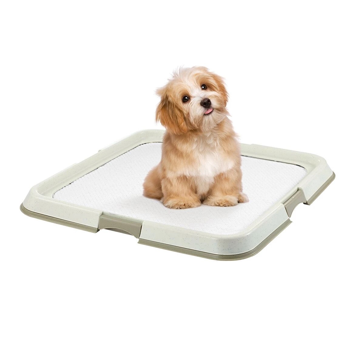 2 Pawise Pet Dog Pee Pad Holder Indoor Puppy Potty Training, 2 of 4