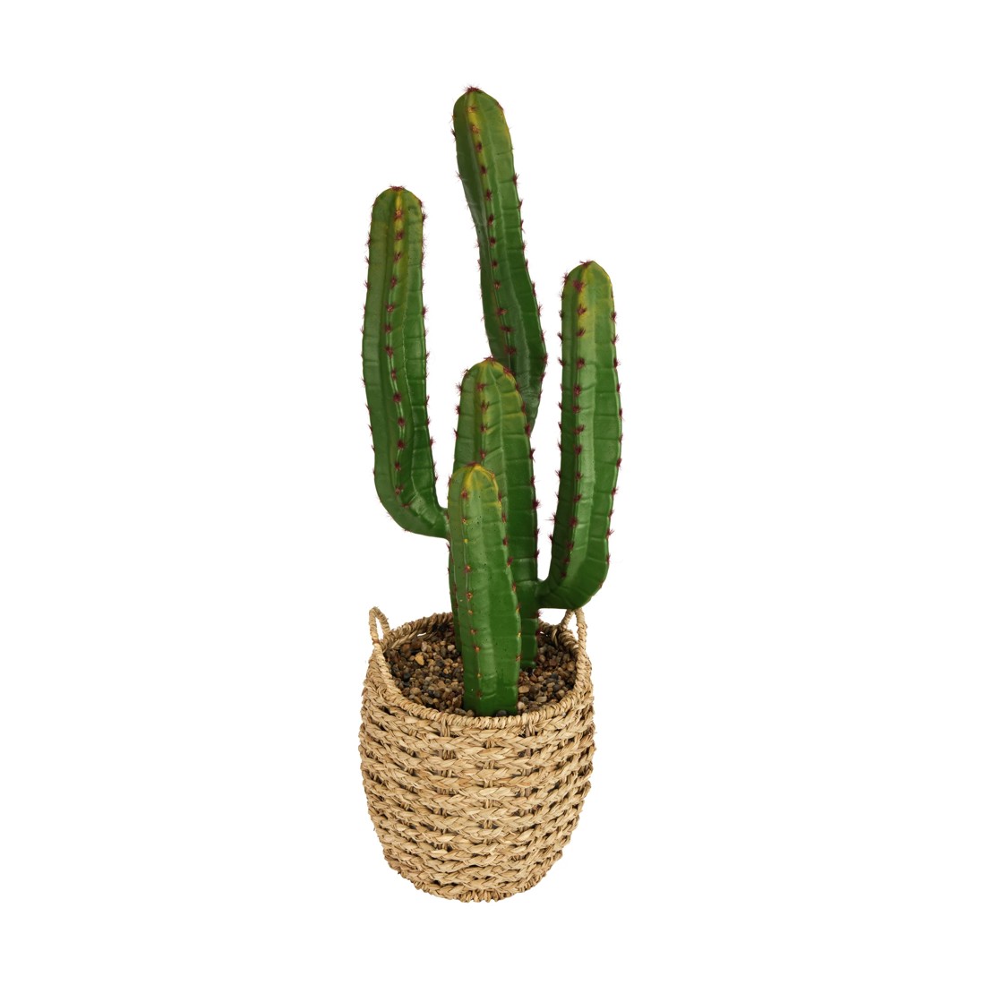 2 Artificial Cactus in Basket, 2 of 6