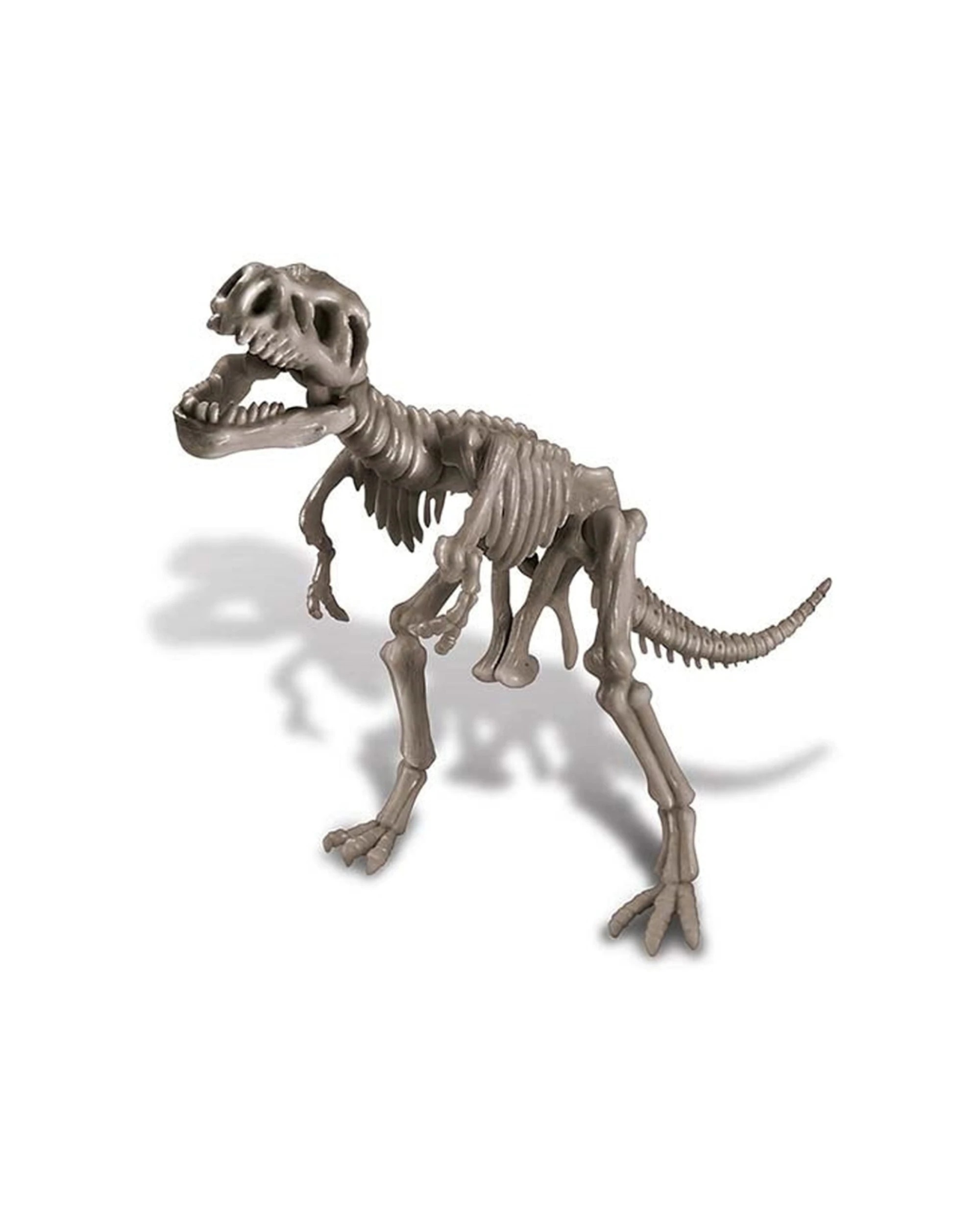 3 4M KidzLabs Dig a Dinosaur Assemble Play Skeleton T-Rex Kids Learning Toy, 3 of 3