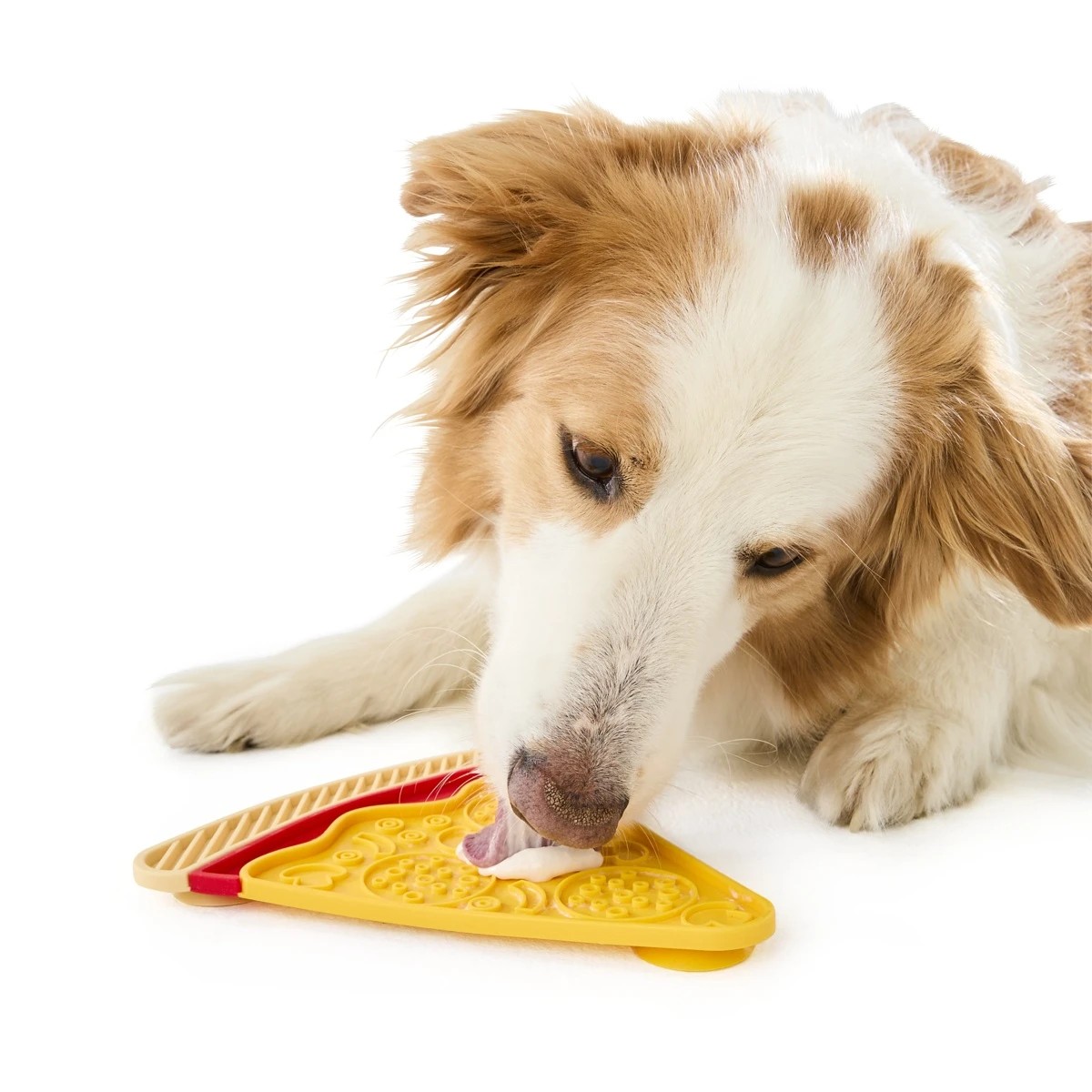 2 Novelty Pet Lick Mat - Assorted, 2 of 10