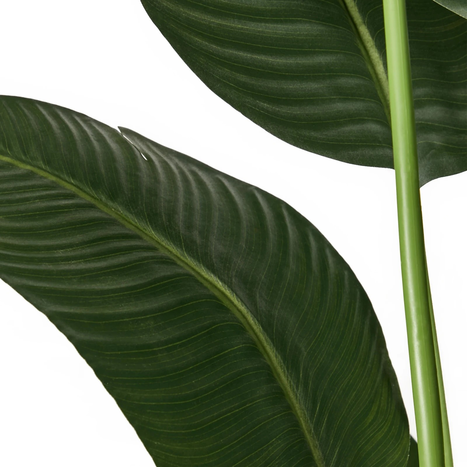 9 Livsip 180cm Artificial Bird of Paradise Plant Fake Palm Tree, 9 of 9