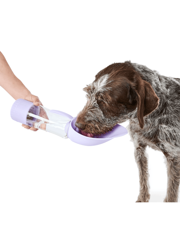 Pet Travel Bottle with Treat Holder - Lilac