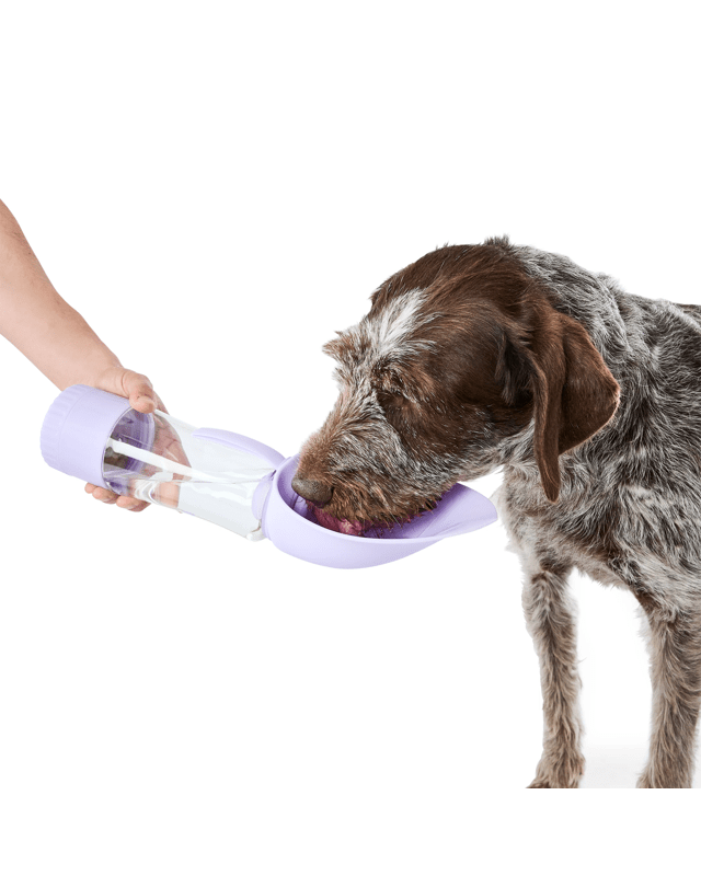Pet Travel Bottle with Treat Holder - L