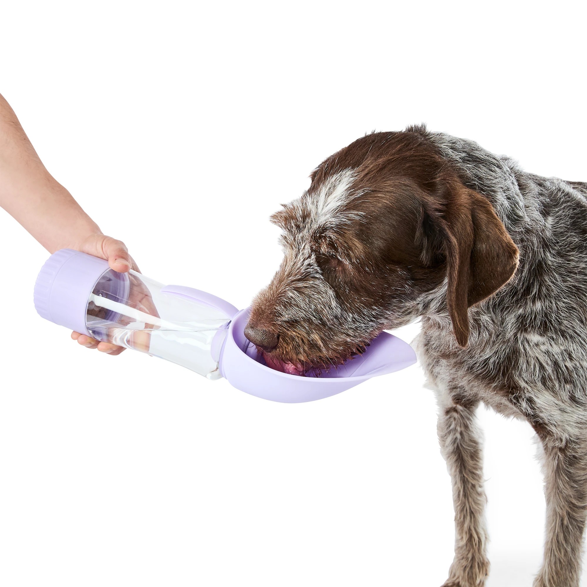 1 Pet Travel Bottle with Treat Holder - Lilac, 1 of 9
