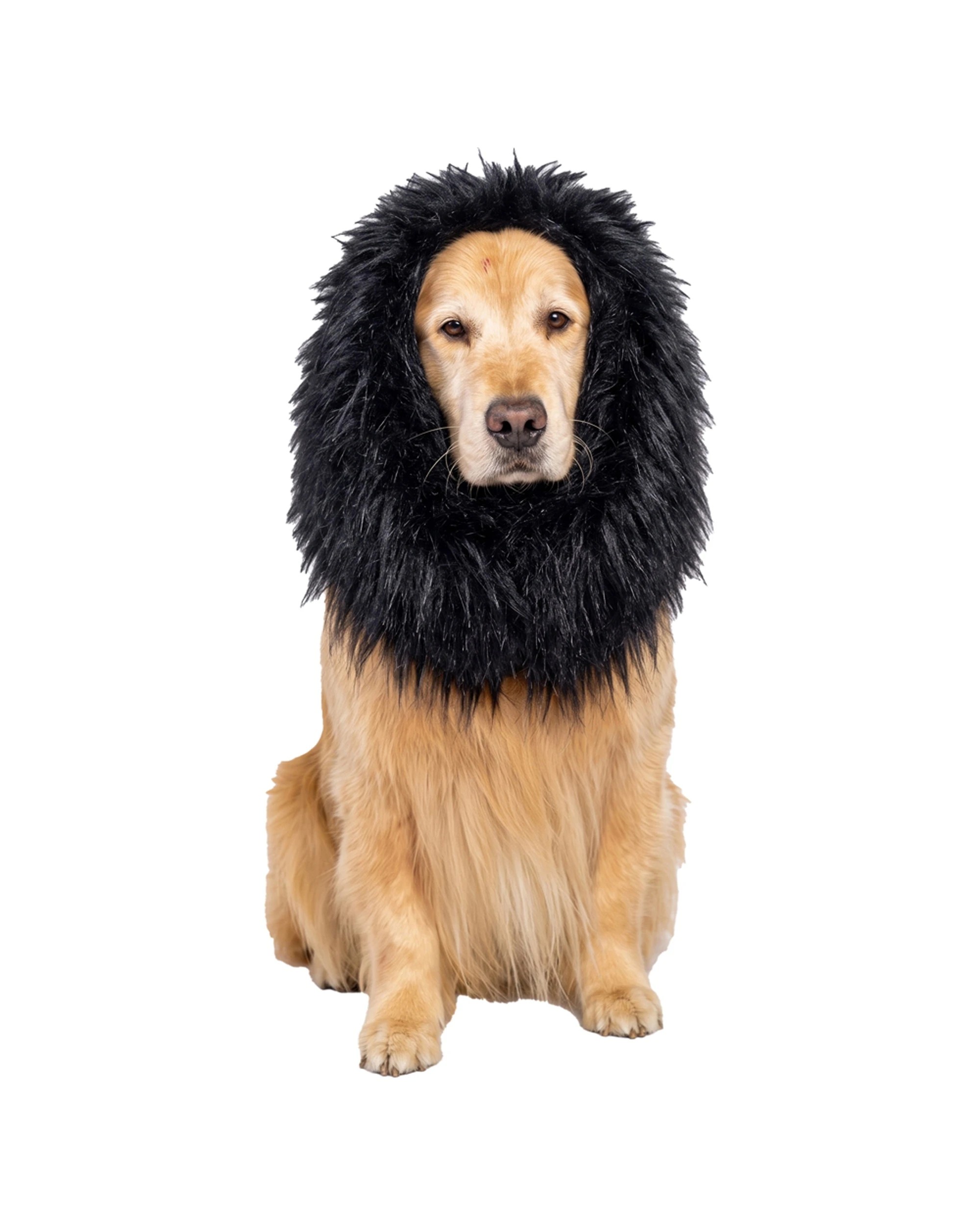 1 Cotton More Large Breed Dog Halloween Party Costume Lion Mane Wig One Size - Black, 1 of 9